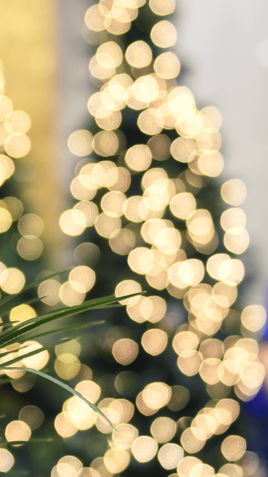 Sæsonen for en festlig juletema-telefon Wallpapers