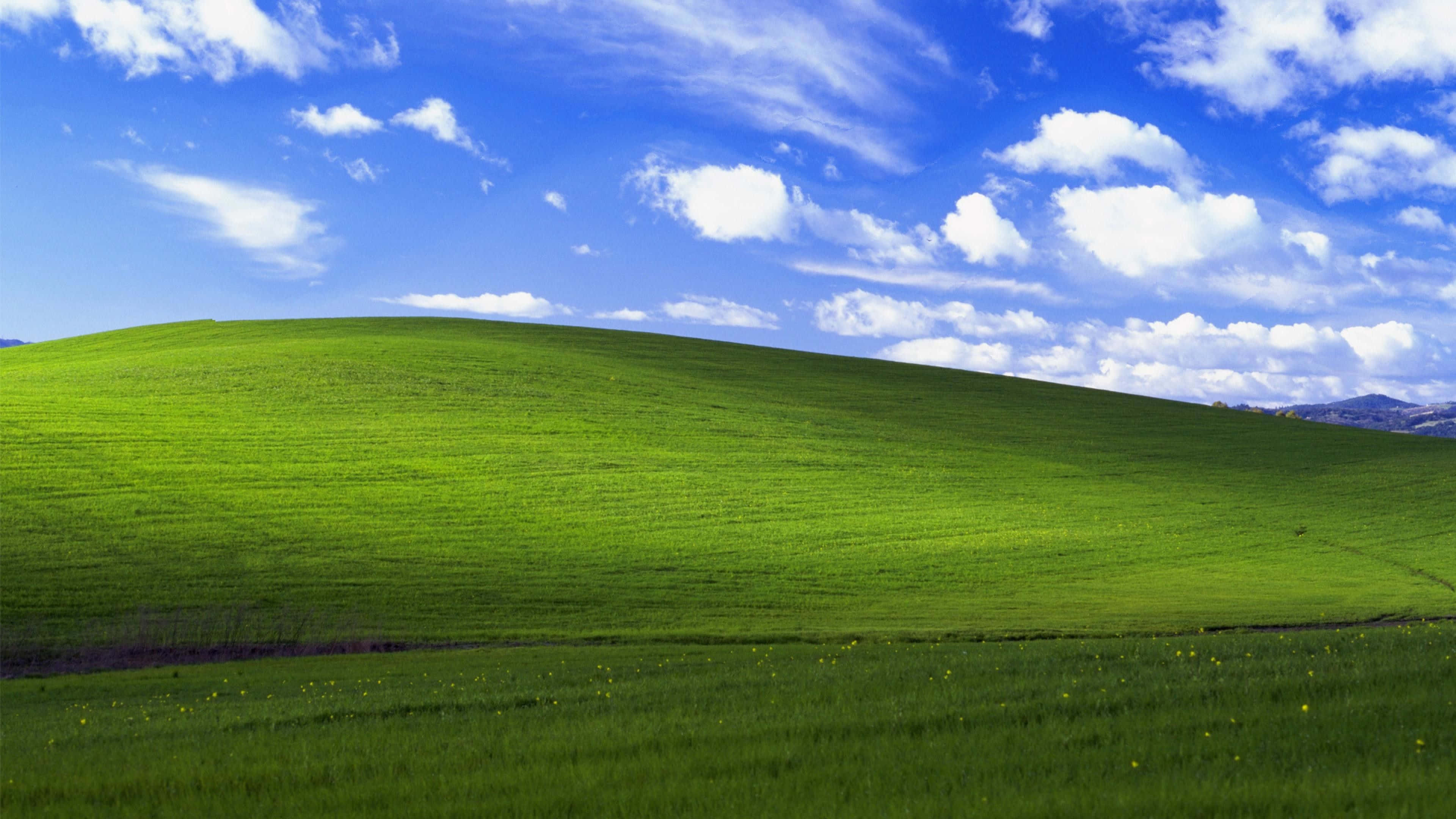 Standard Bliss Windows 1 Wallpapers