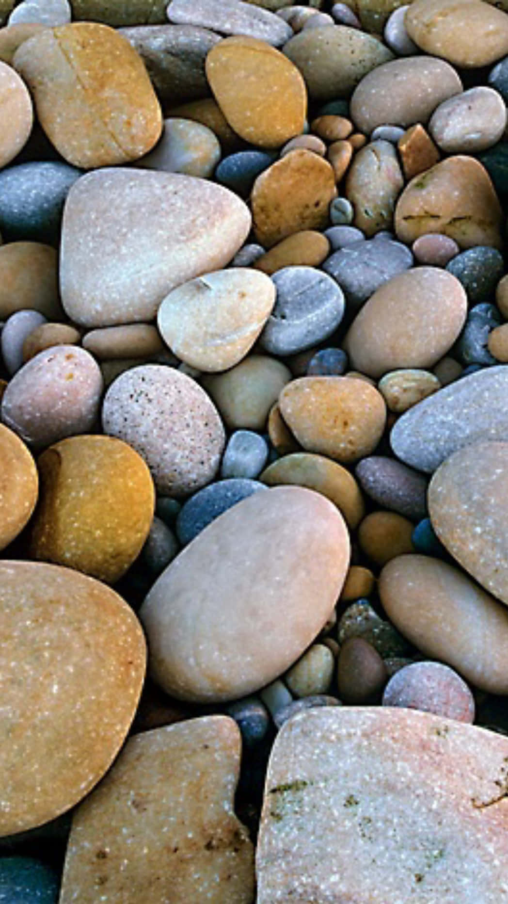 Sten ved stranden til iOS 3 Wallpapers