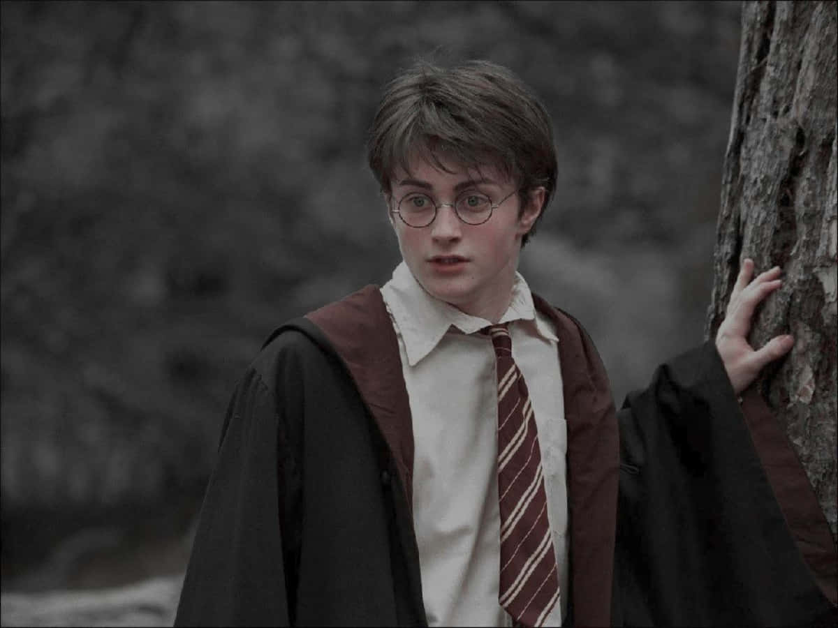 Æstetisk Harry Potter billede Wallpapers