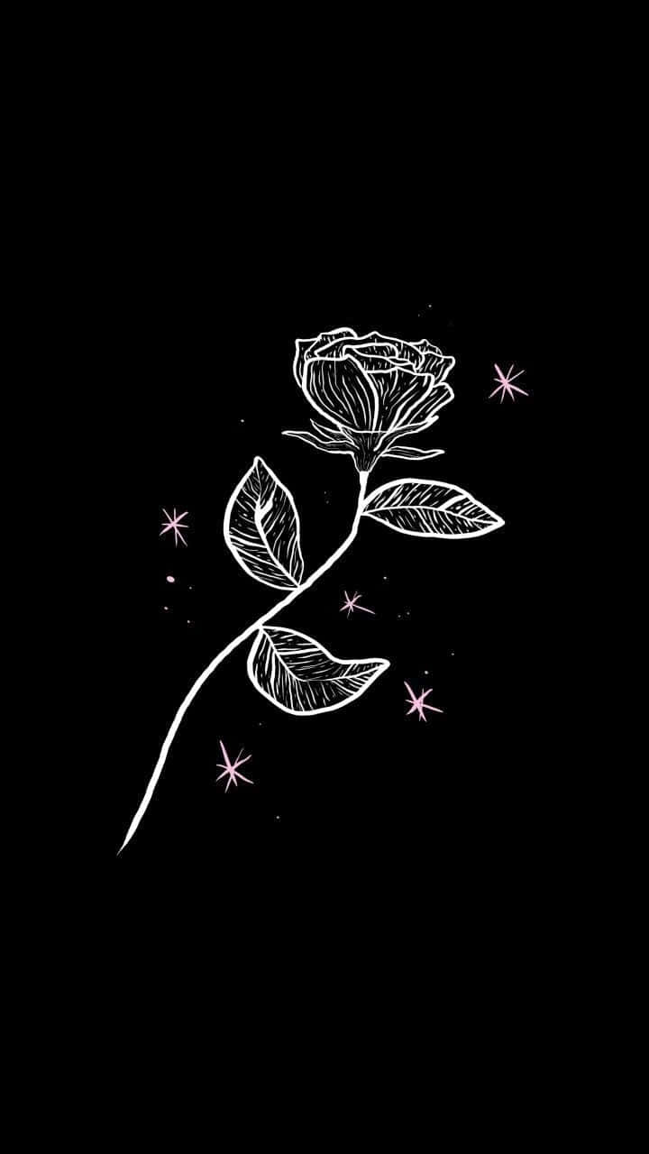 Æstetisk hvid og sort iPhone med hvid rose Wallpapers