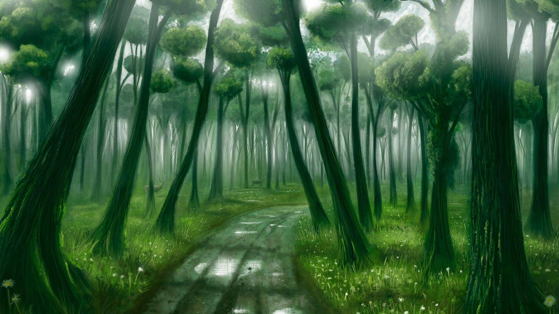 Æstetisk kunst høje træer Wallpapers