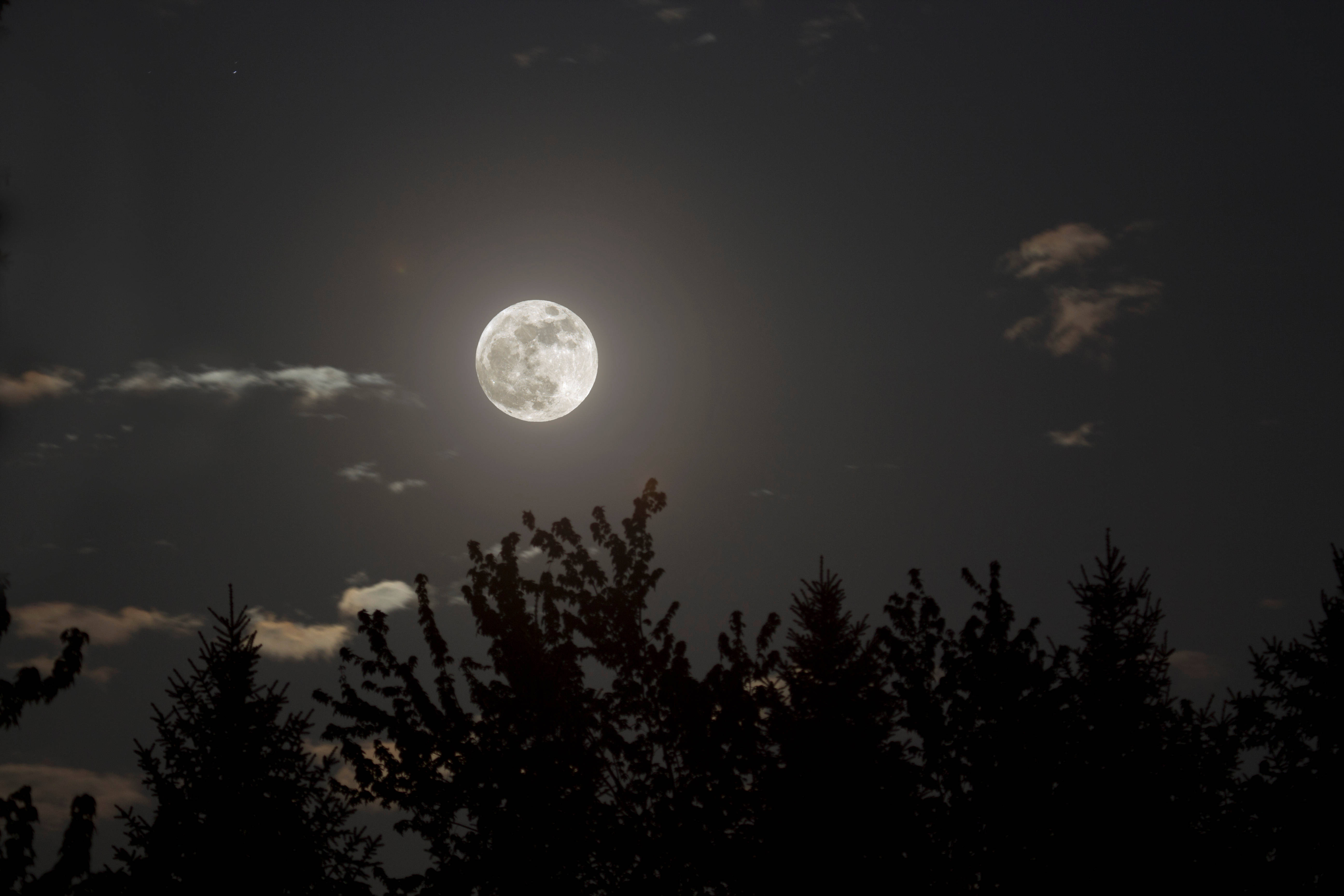 Æstetisk måne i stille nat Wallpapers