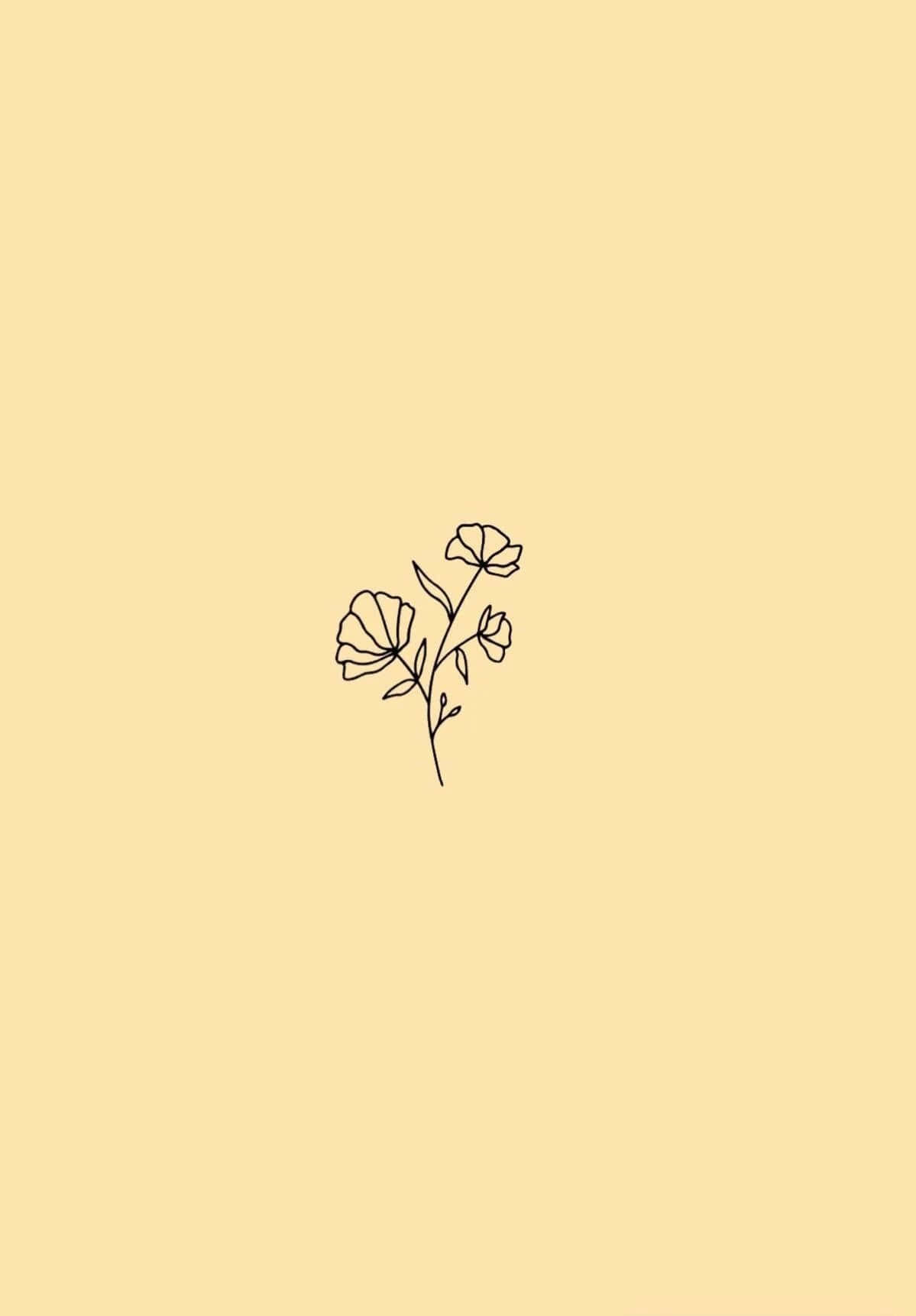 Æstetisk Minimalisme: Kunsten at Leve Minimalistisk Wallpapers