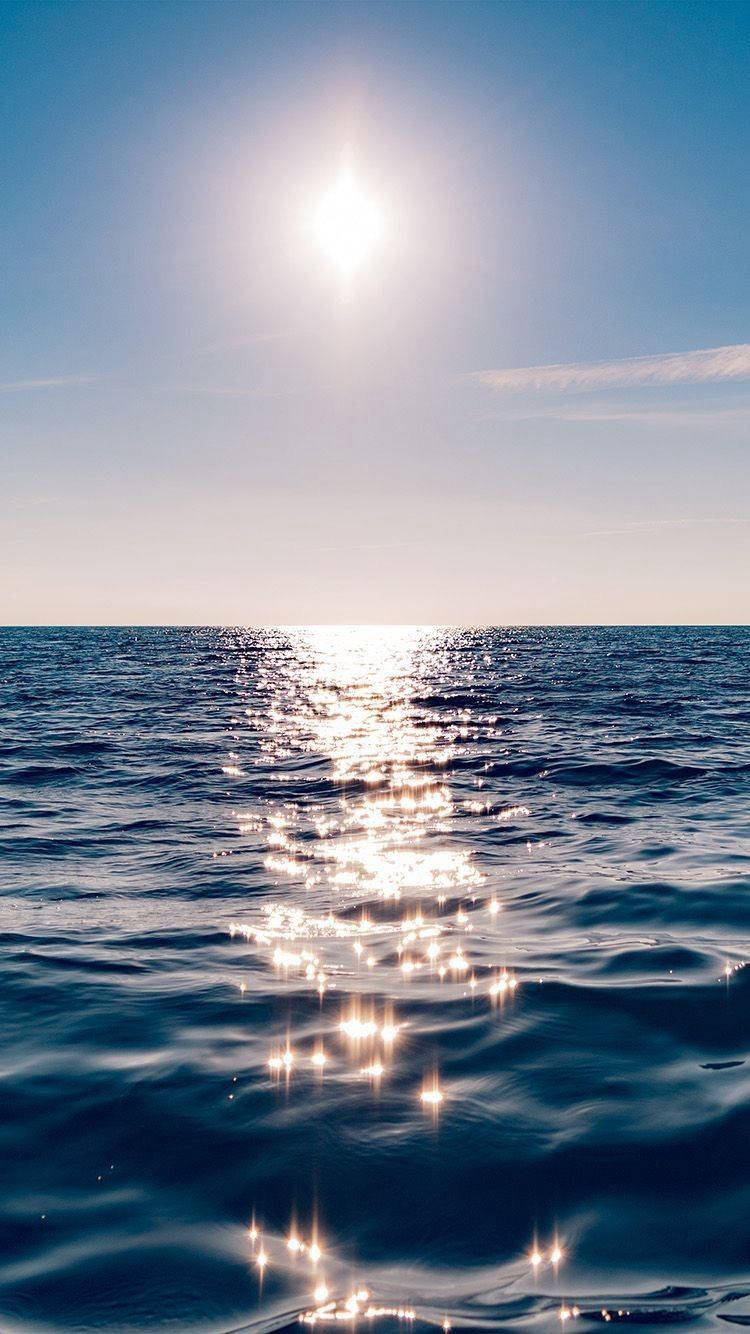 Æstetisk skinnende havand til iPhone Wallpapers