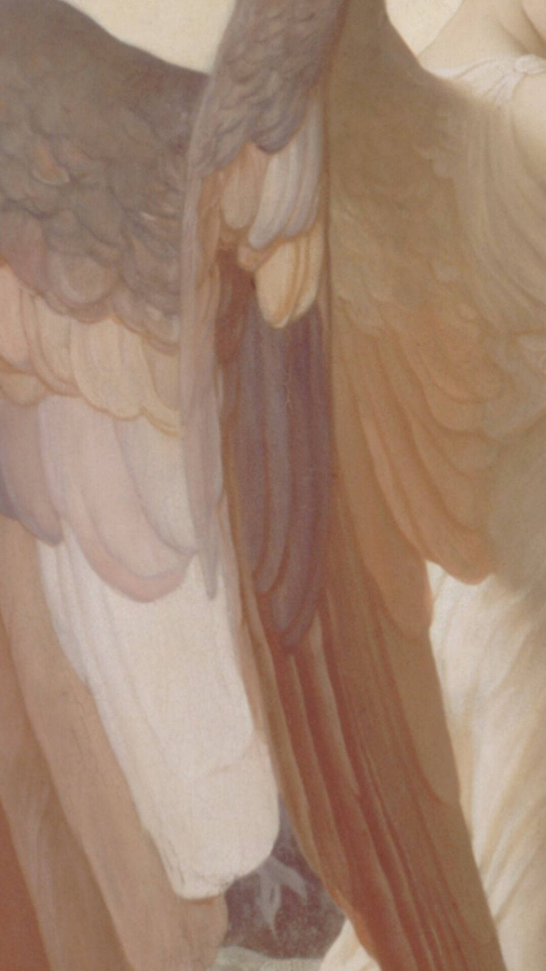 Æstetiske beige englevinger Wallpapers