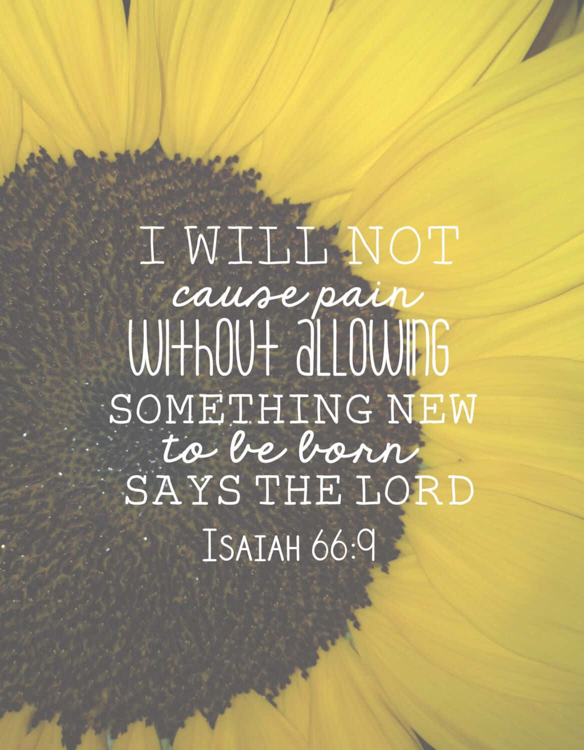 Æstetiske bibelvers billeder Wallpapers