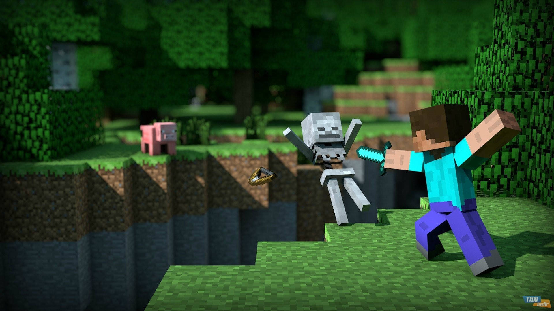 Steve kæmper mod et skelet i Minecraft HD Wallpapers