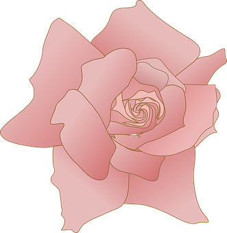 Stiliseret lyserød rose illustration Wallpapers