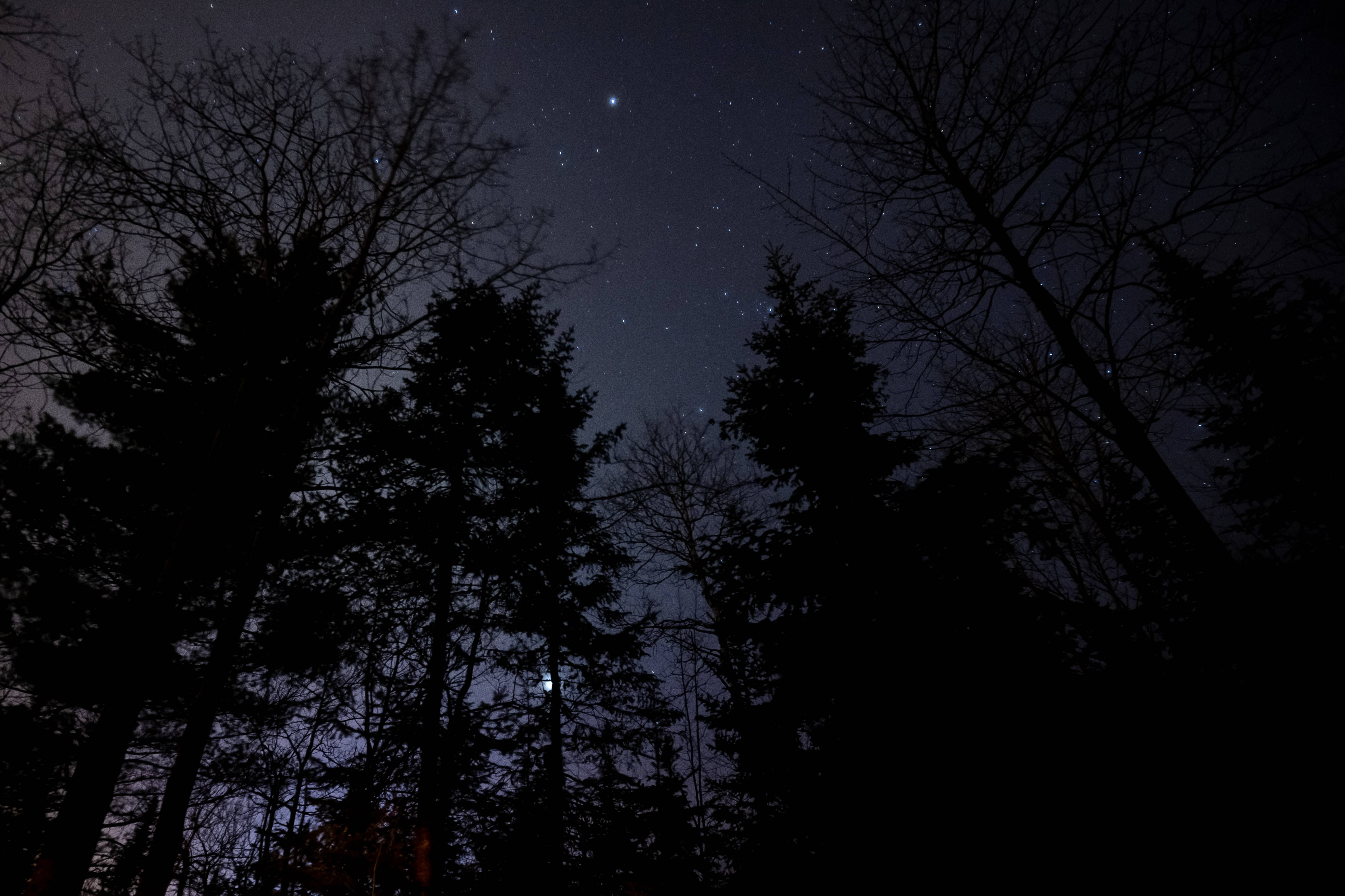 Stjernehimmel om natten Wallpapers