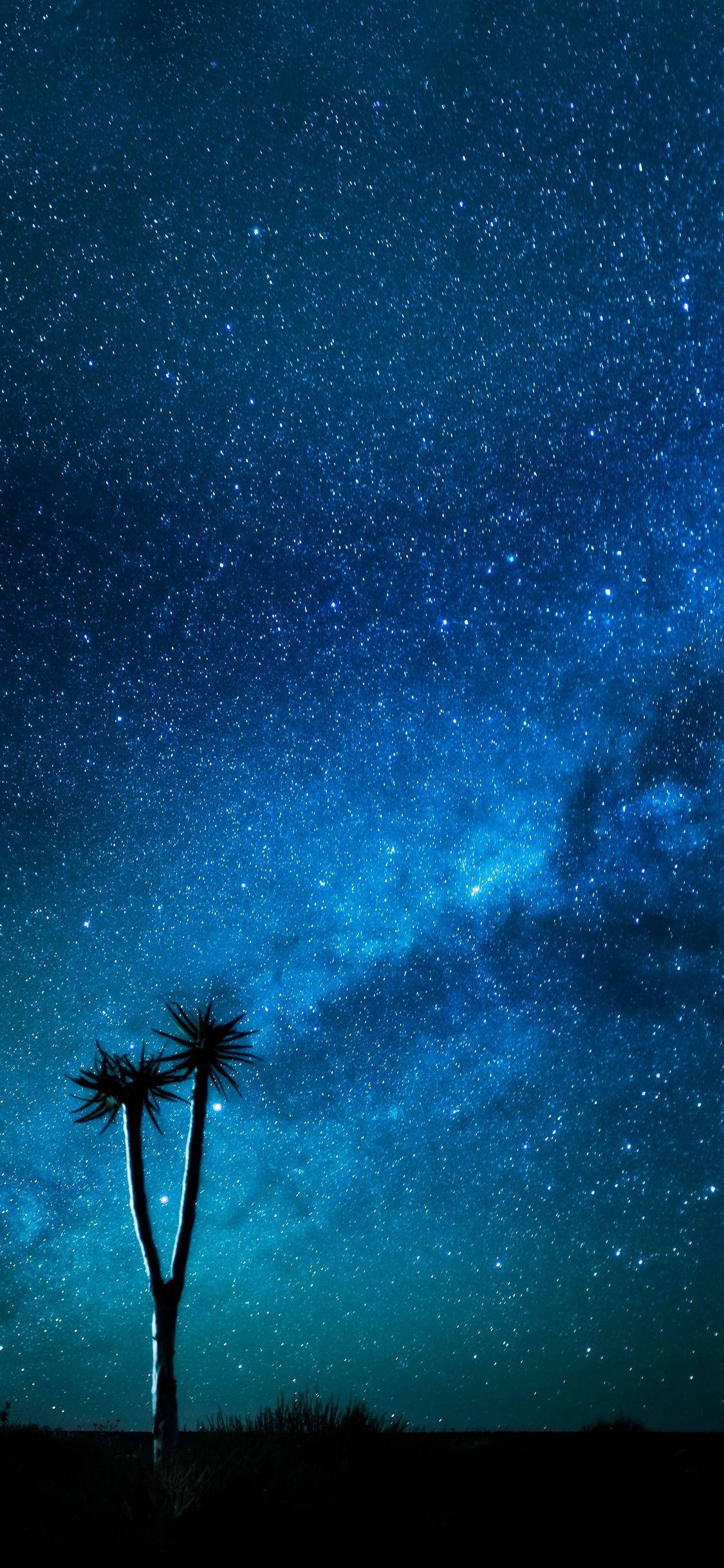 Stjerneklar nattehimmel blå iPhone Wallpapers