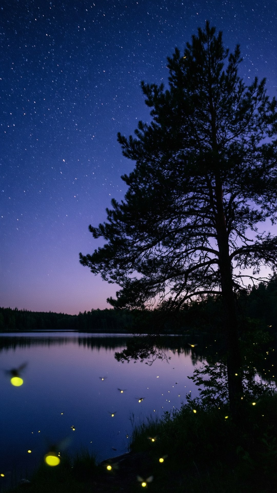 Stjernenat om sommeren Wallpapers