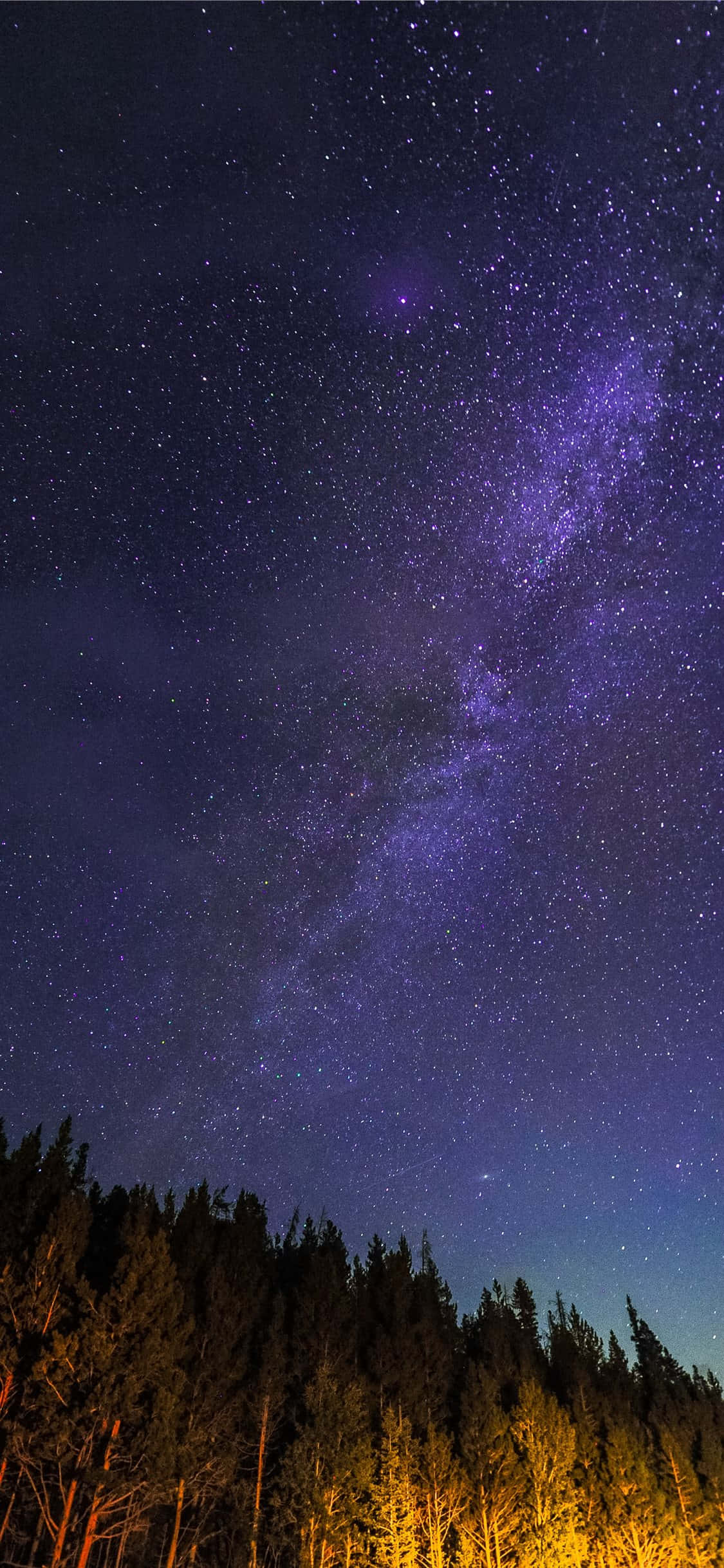 Stjernenat_over_Skov.JPG Wallpapers