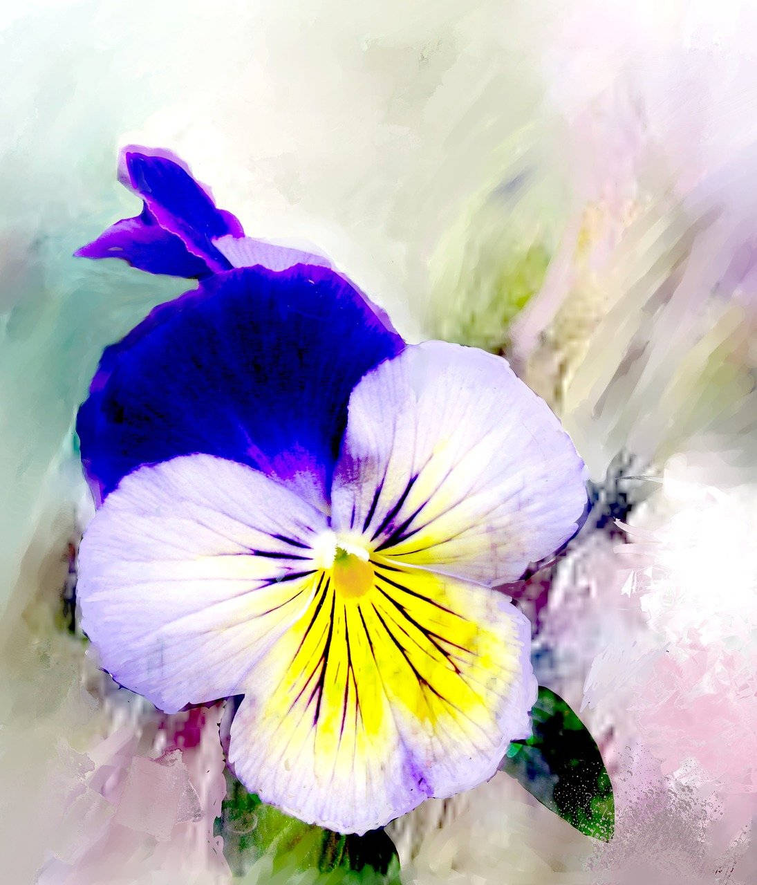 Stor Blomstrende Stedmoderblomst Digital Kunst Wallpapers