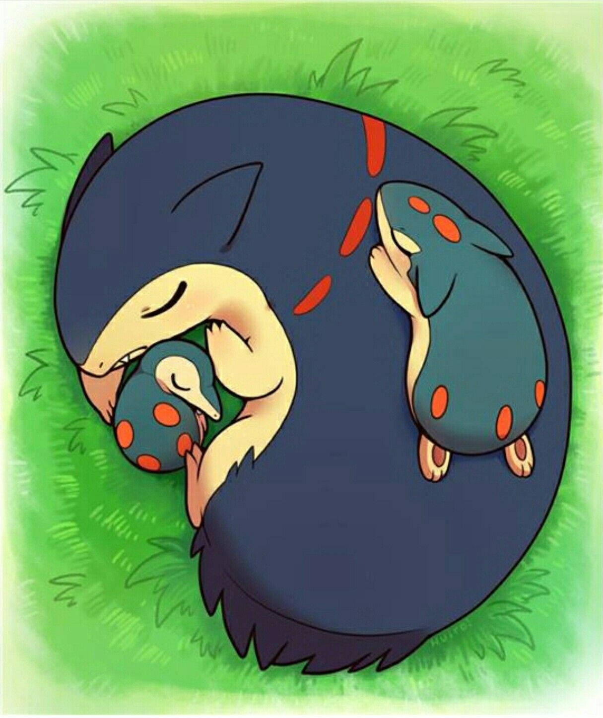 Stor Typhlosion sover Wallpapers