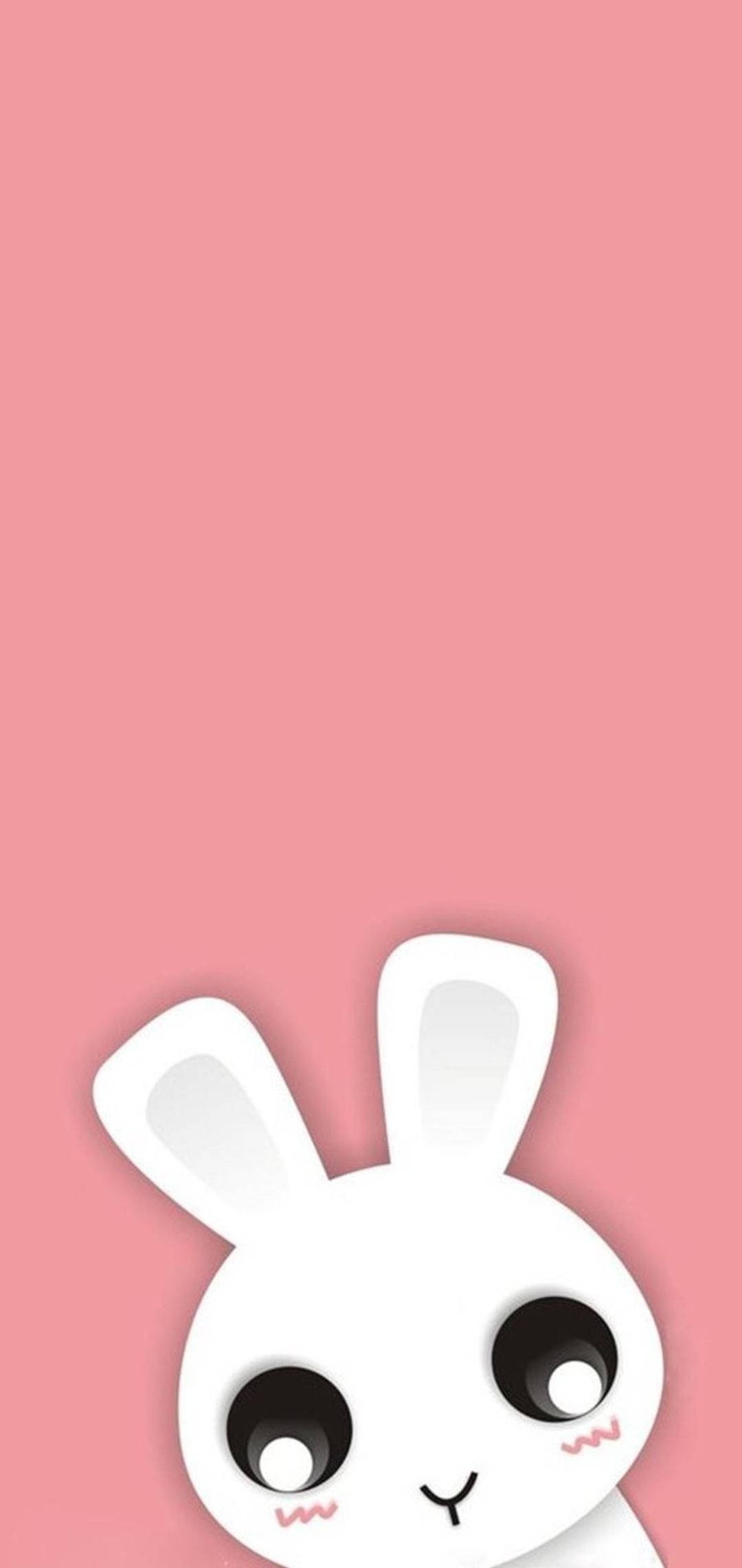Storøjet nuttet kanin iPhone Wallpapers