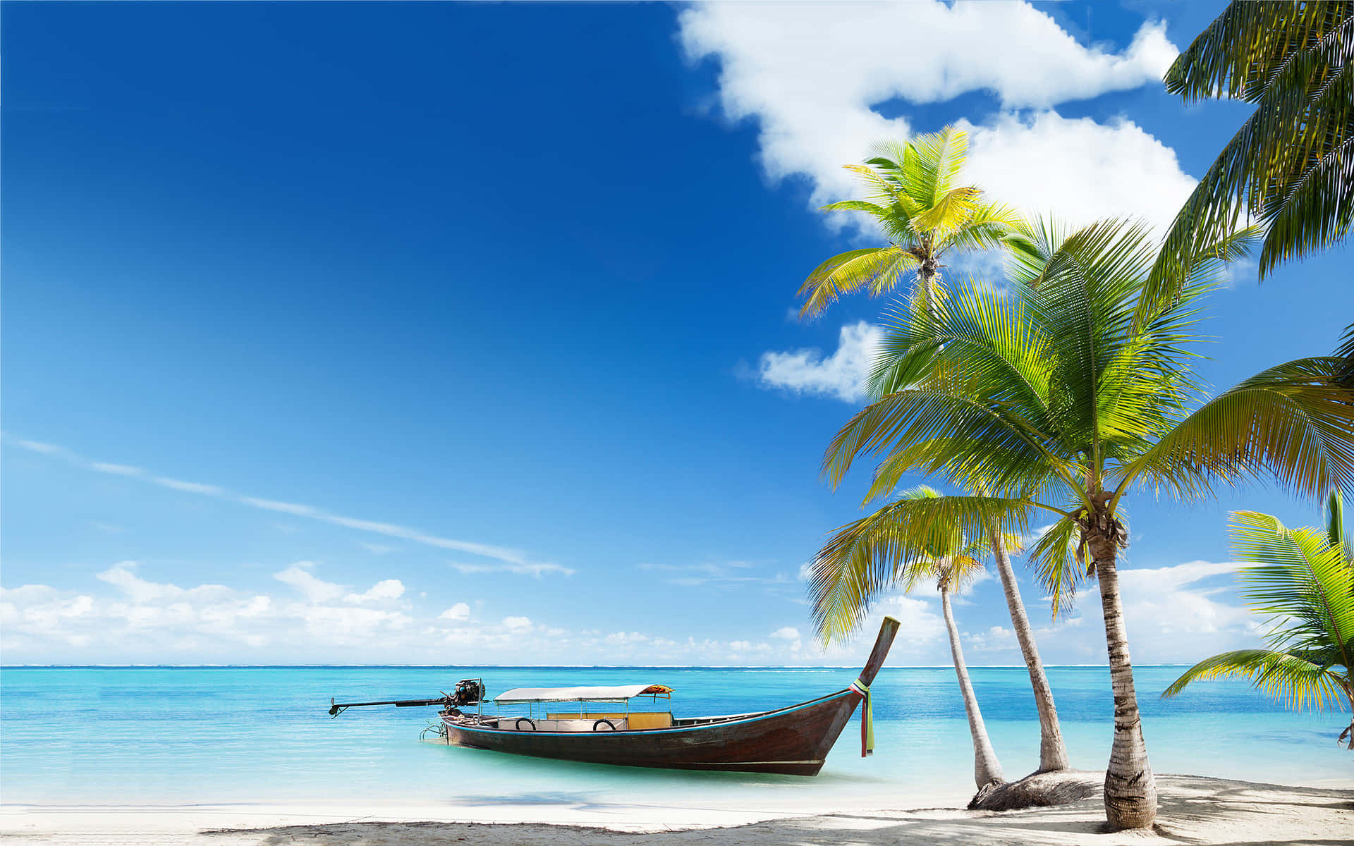 Strandscene med kokospalmer og båd Wallpapers