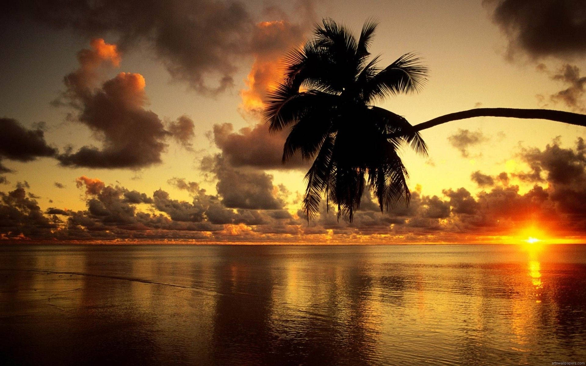 Strandsolnedgang til fuld HD computerbaggrund Wallpapers