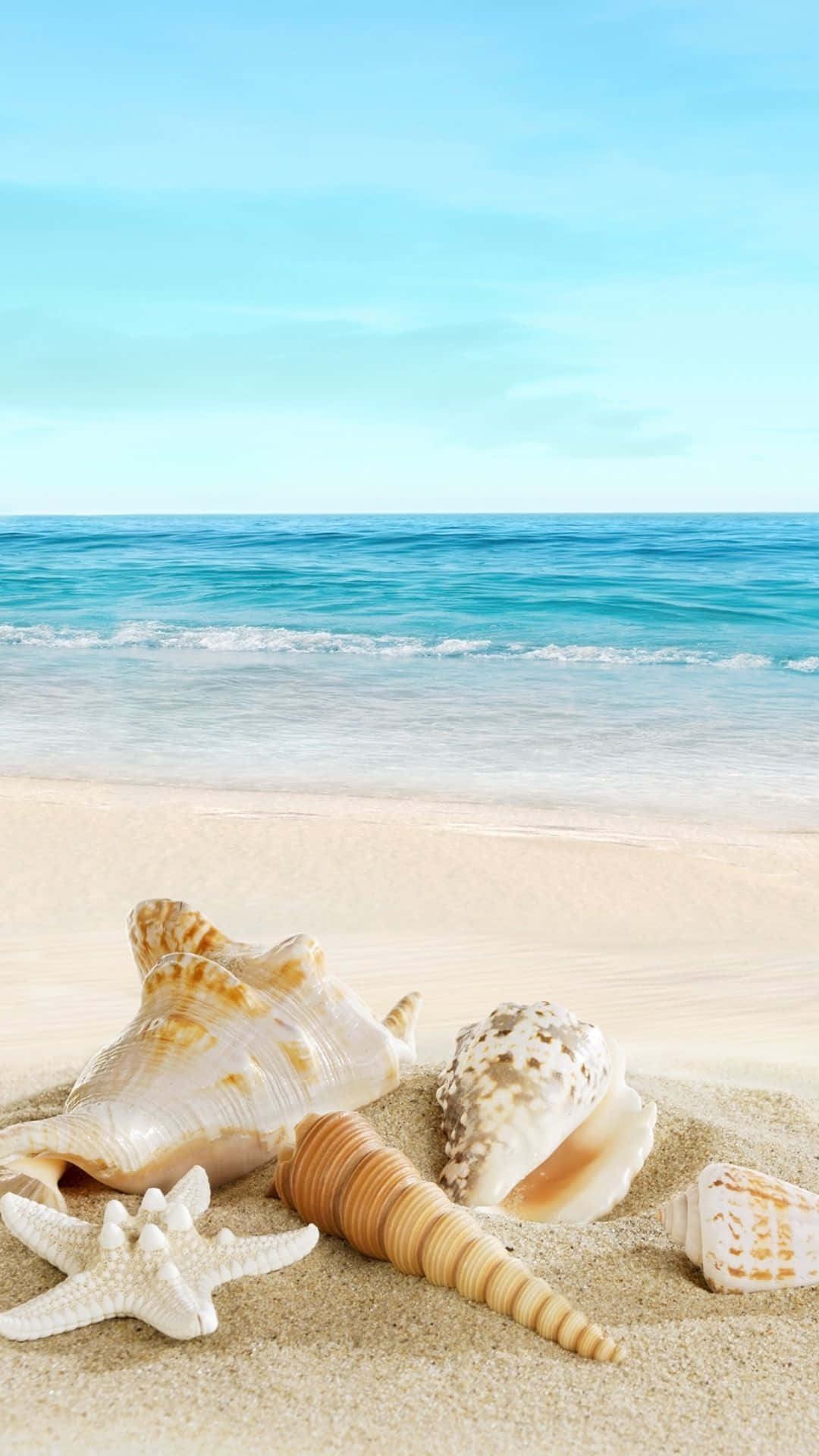 Strandtelefon med muslingeskaller Wallpapers