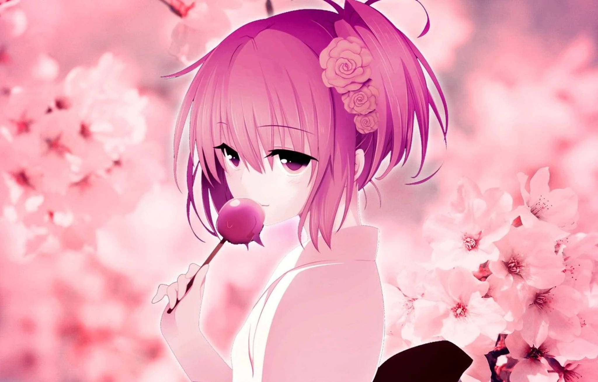 Subtile glædens nuancer: en rejse ind i den fascinerende verden af pink anime-æstetik med Momo Belia Wallpapers