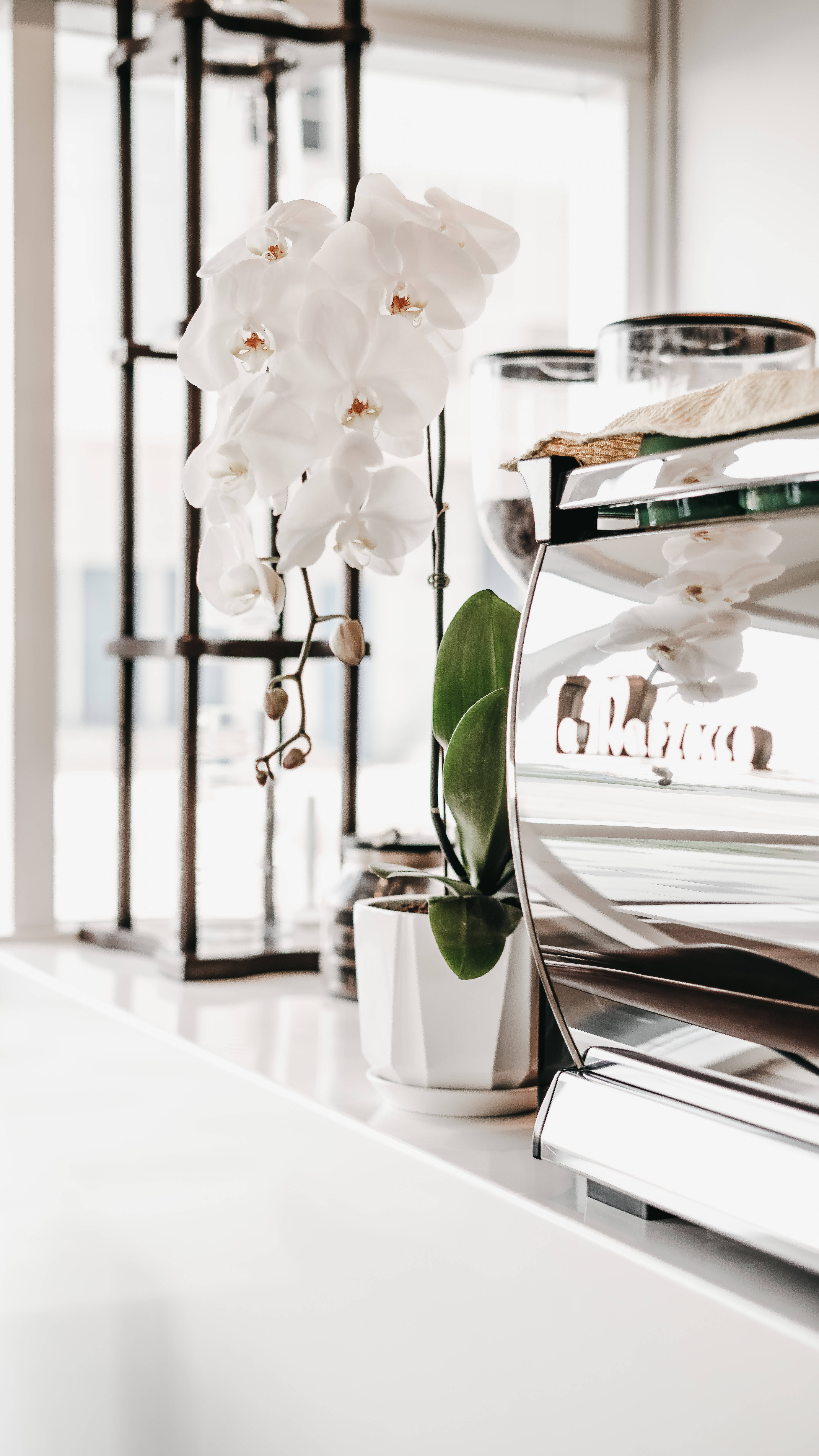 Subtilt elegant: Beige minimalistisk design med et hvidt motiv Wallpapers