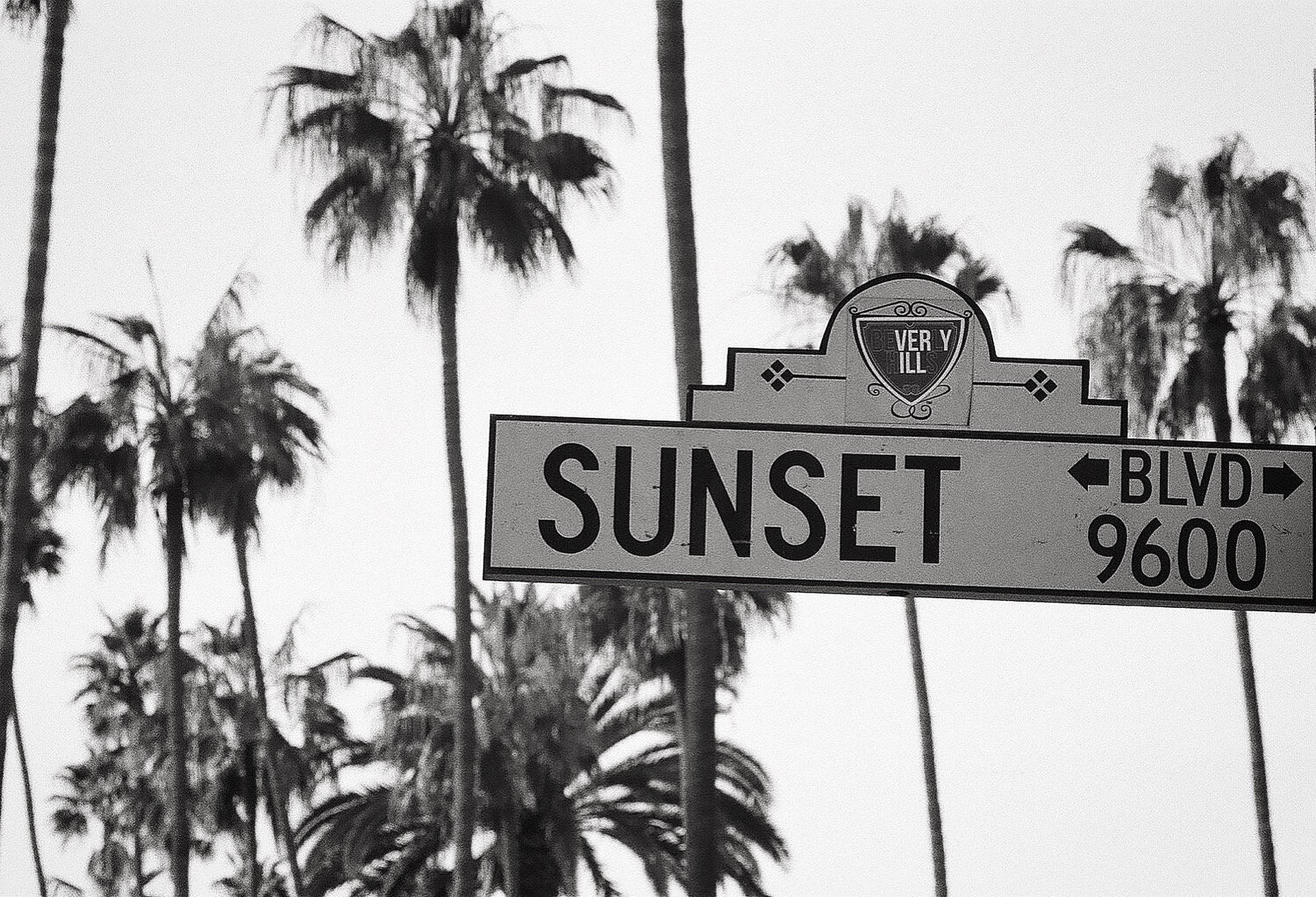 Sunset Boulevard Sort og Hvid Wallpapers