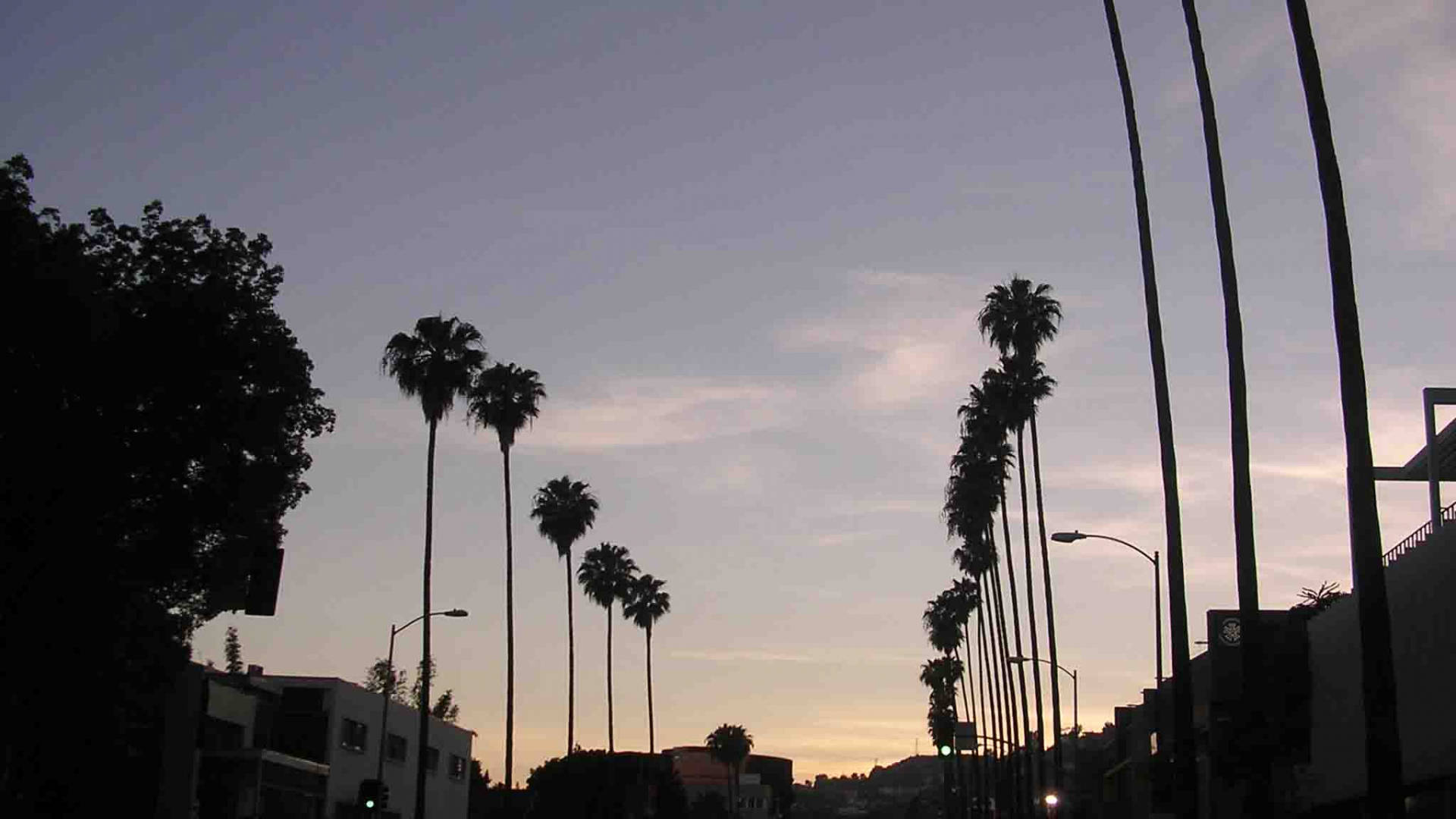 Sunset Boulevard Silhuet Wallpapers