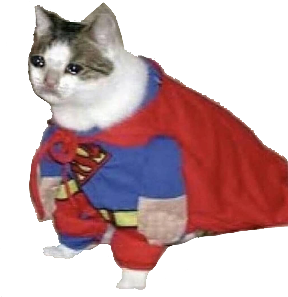 Super Cat_ Helt_ Meme.PNG Wallpapers
