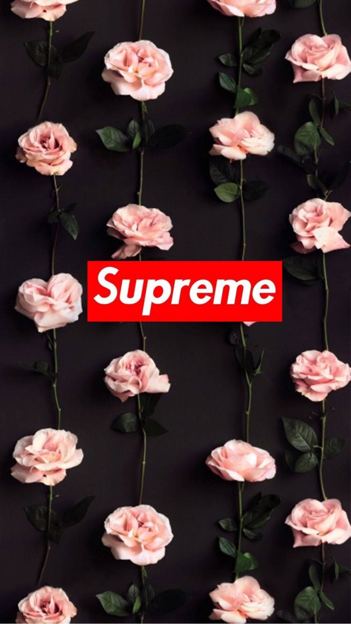 Supreme lyserøde blomster sød iPhone Wallpapers