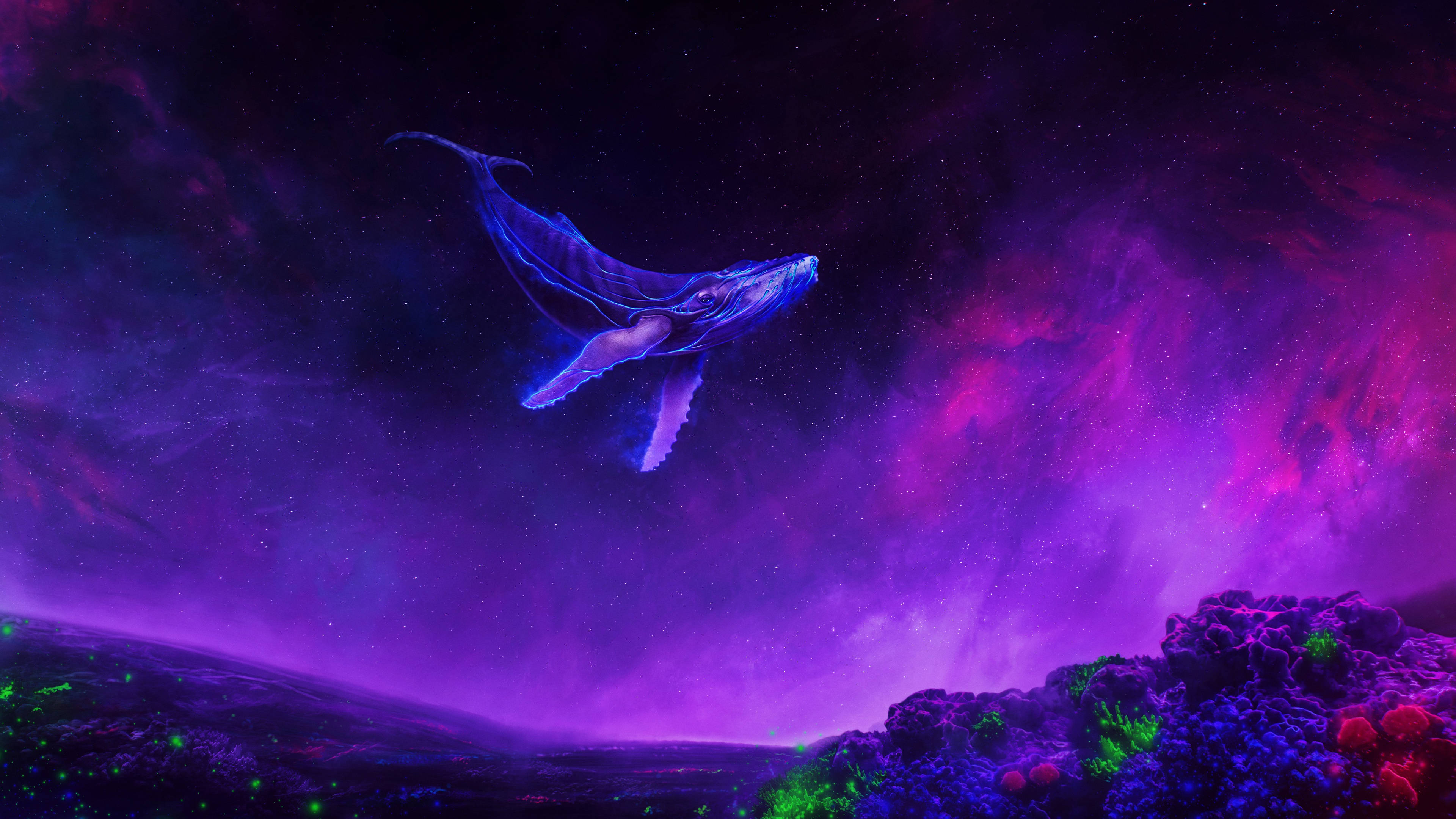 Surreal Hval Svævende 4K Lilla Wallpapers