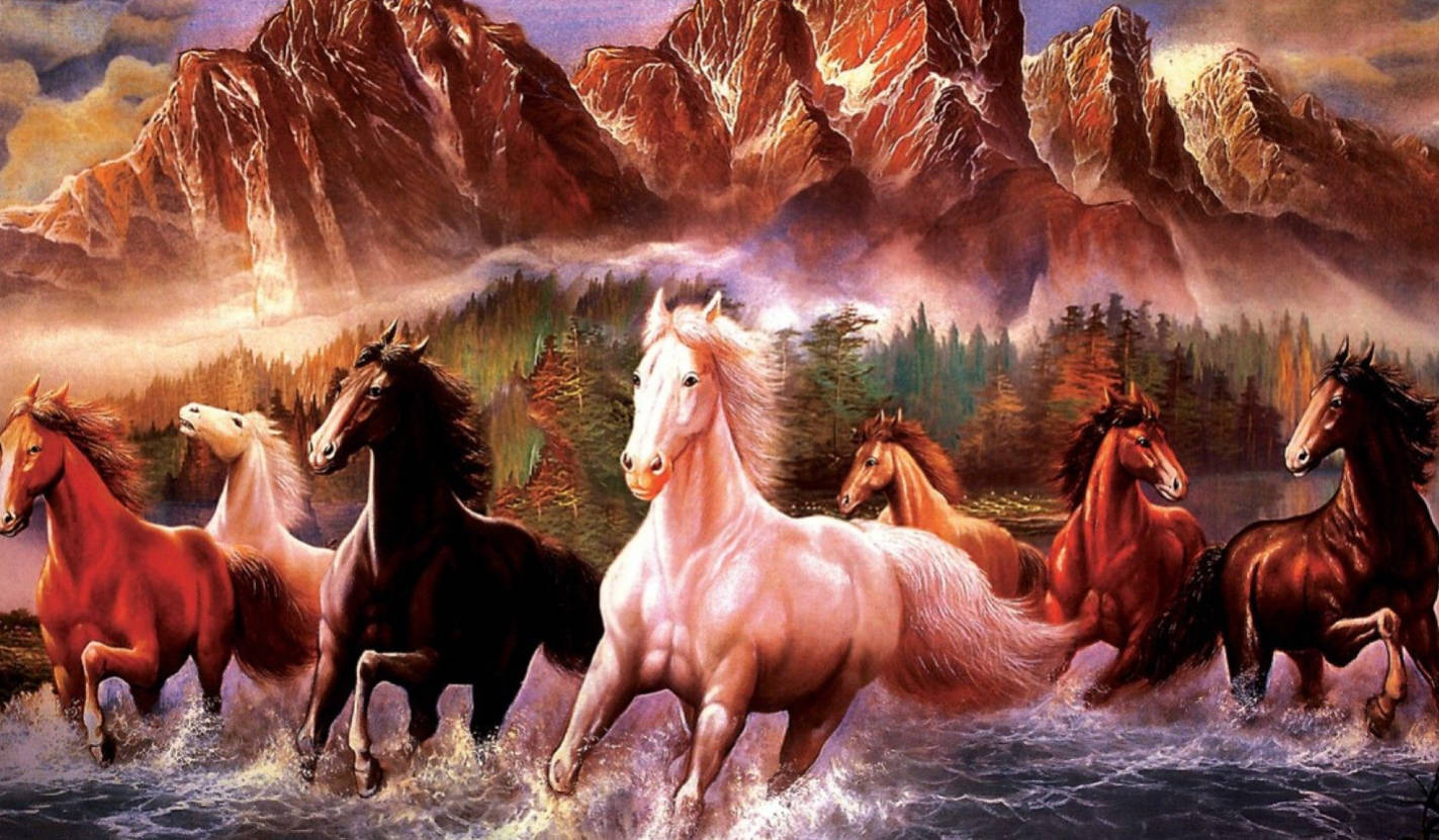 Syv smukke heste Wallpapers