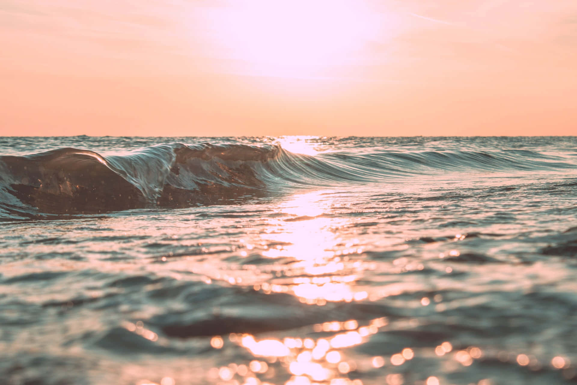 Tag dig tid til at nyde livets små øjeblikke. Wallpapers
