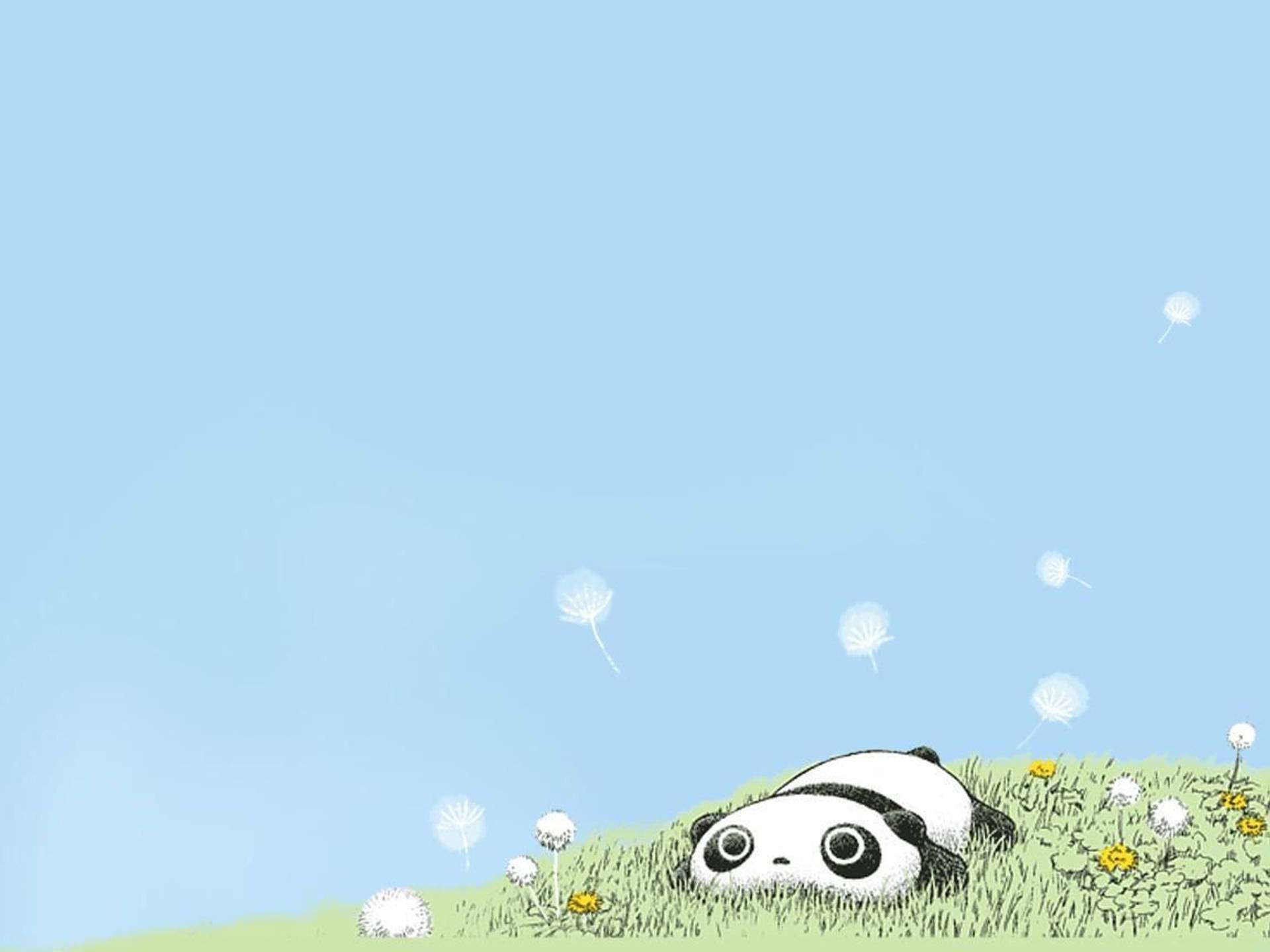 Pastelblåt wallpaper med den søde panda-karakter Tarepanda. — Kawaii Wallpapers