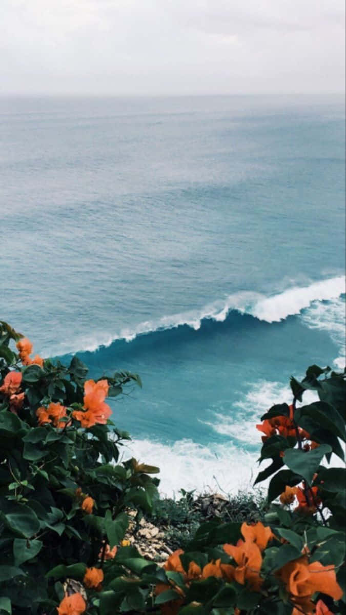 Tag en pause og nyd solskinnet på en perfekt sommerdag Wallpapers