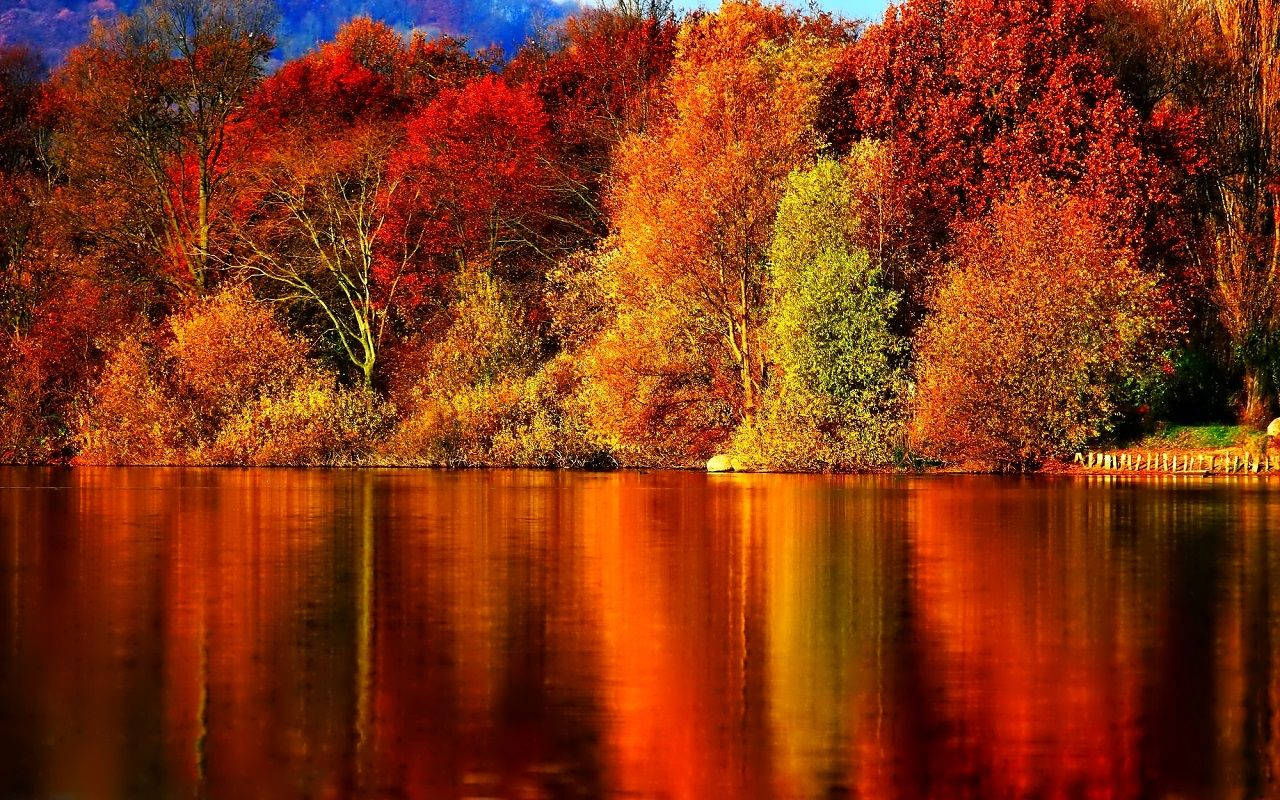 Tag en tur i naturen dette efterår Wallpapers