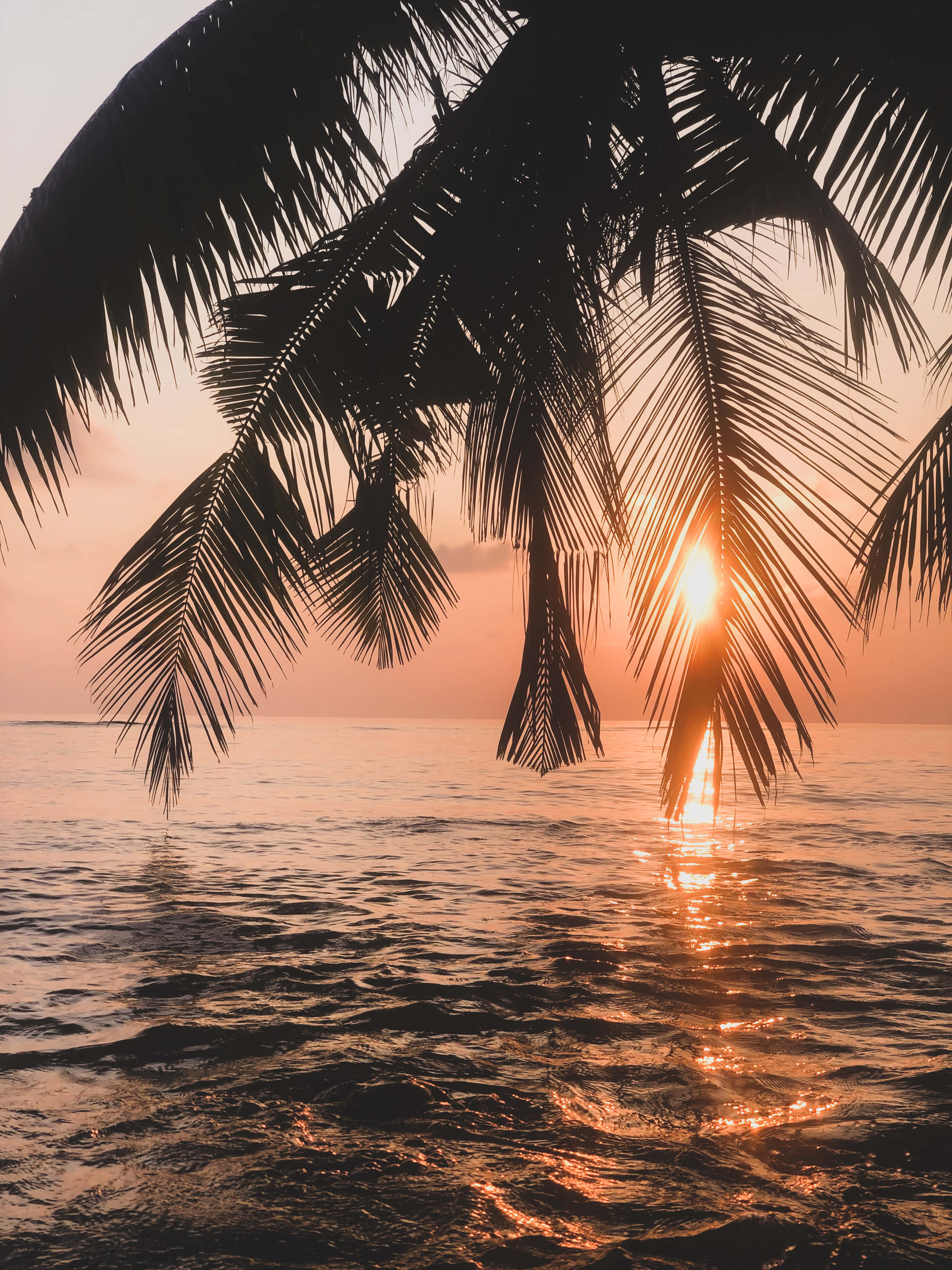 Tag et øjeblik til at nyde skønheden ved en strand solnedgang Wallpapers