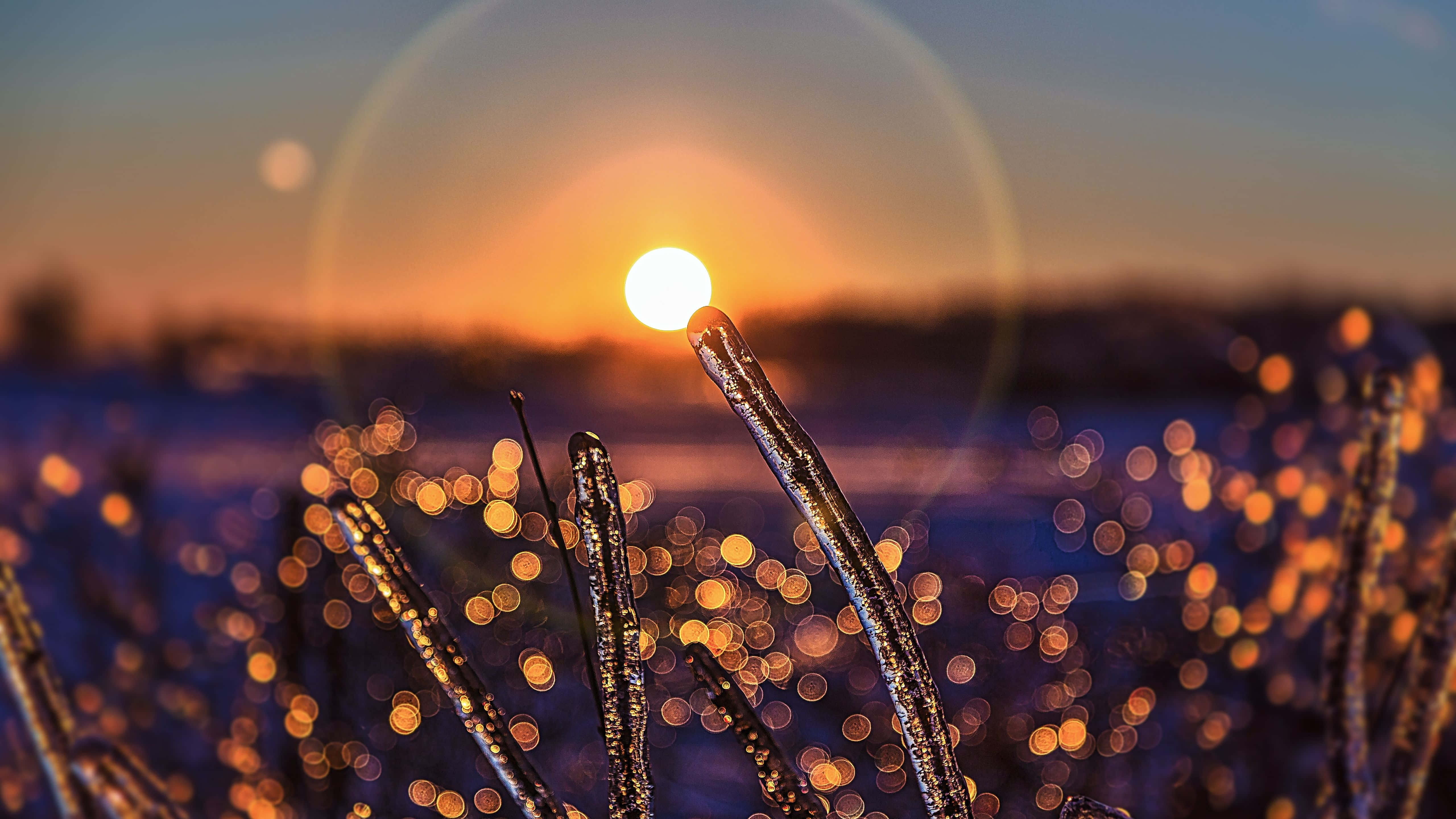 Tag flugten og ræk mod solen Wallpapers