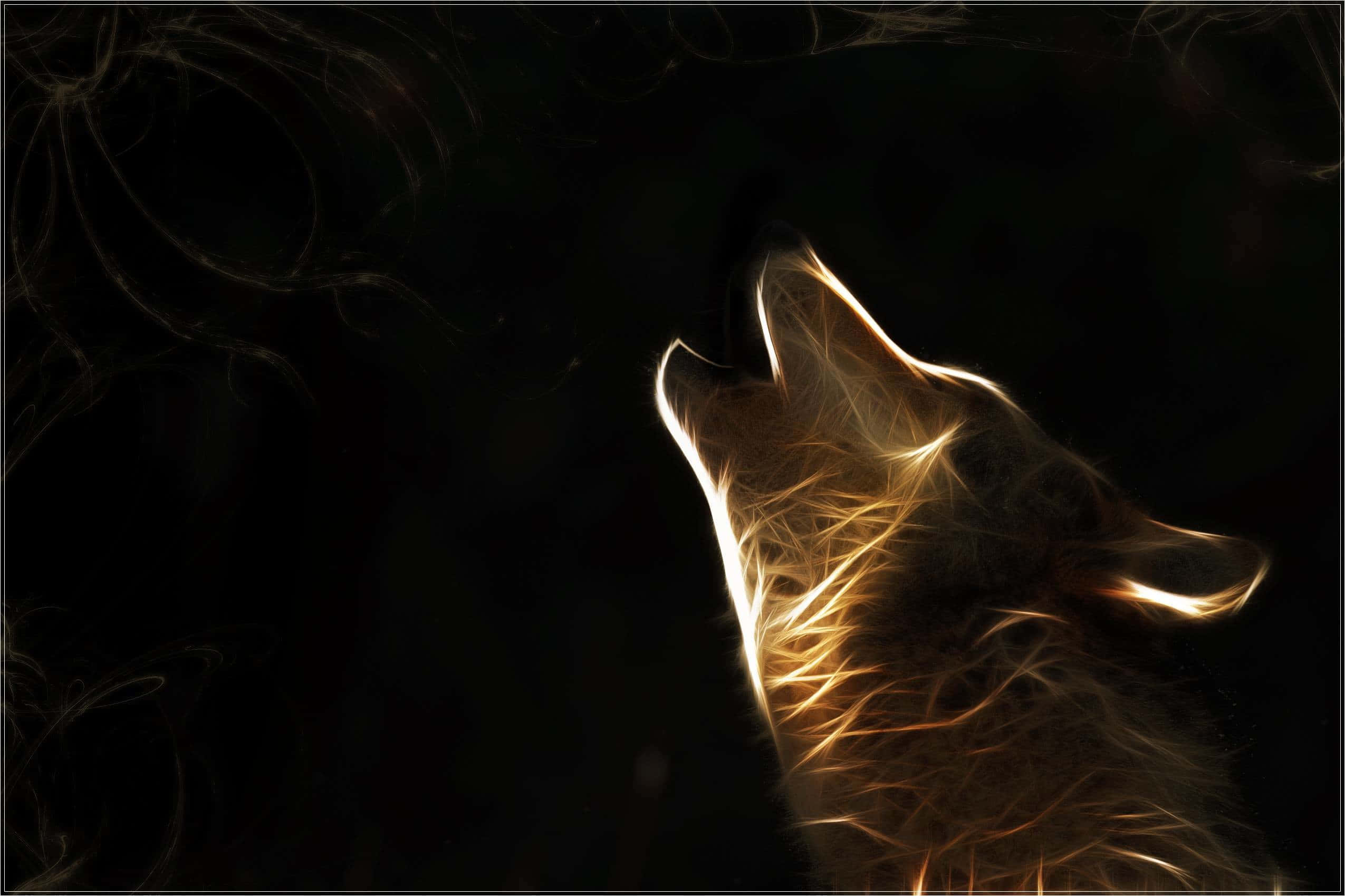 "Tag med mig på en rejse ind i det ukendte." Wallpapers