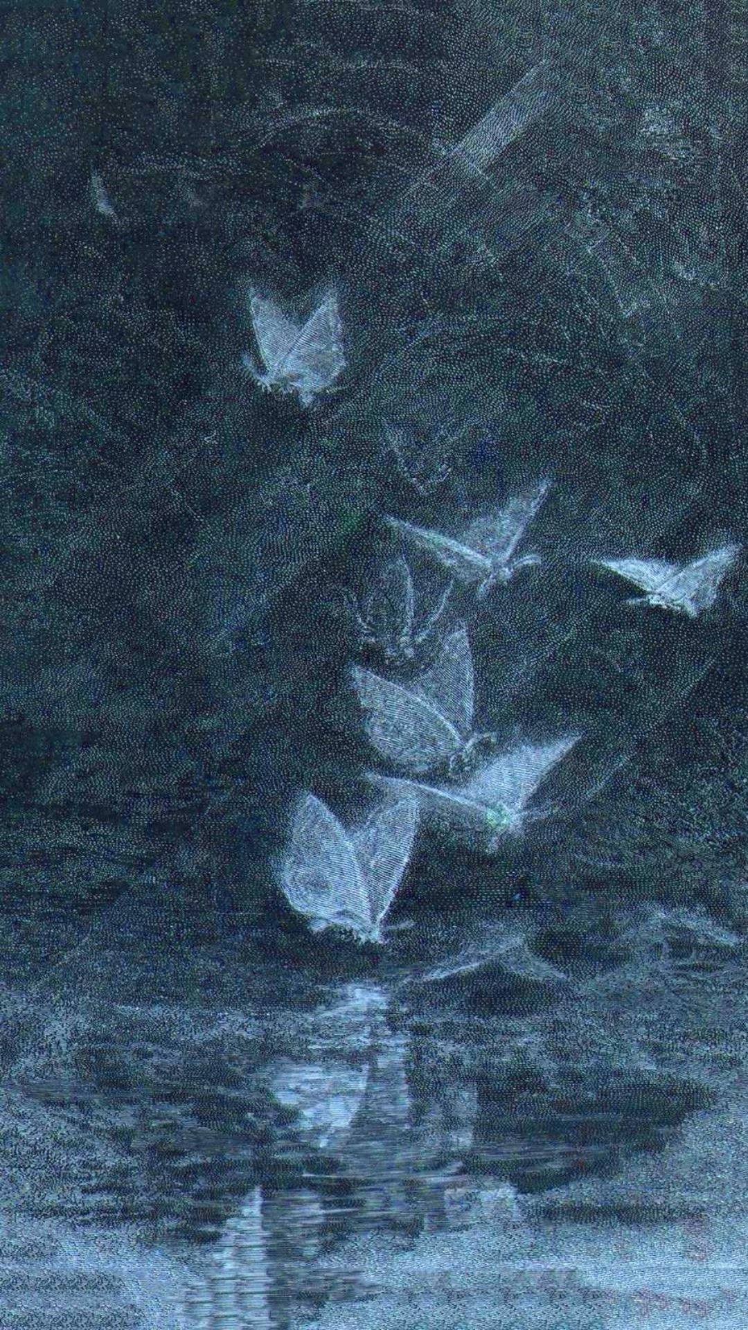 Tågede feer æstetik Wallpapers