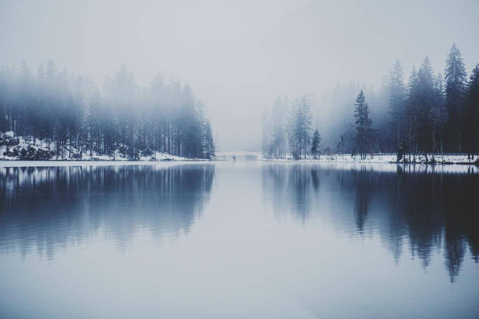 Tåget skovsø om vinteren Wallpapers