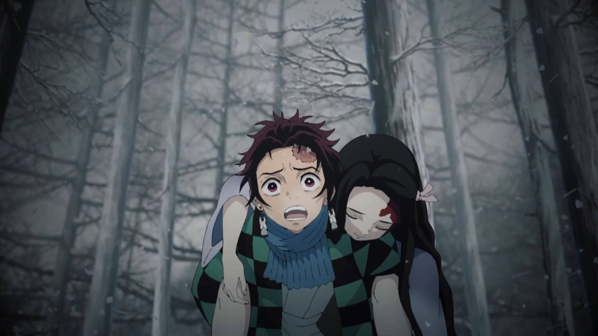 Tanjiro bærer Nezuko i Demon Slayer Wallpapers