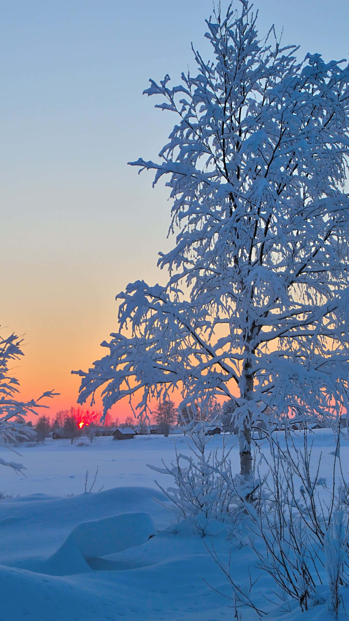 Tårnhøje skyskrabere i en bysilhuet om natten. Wallpapers