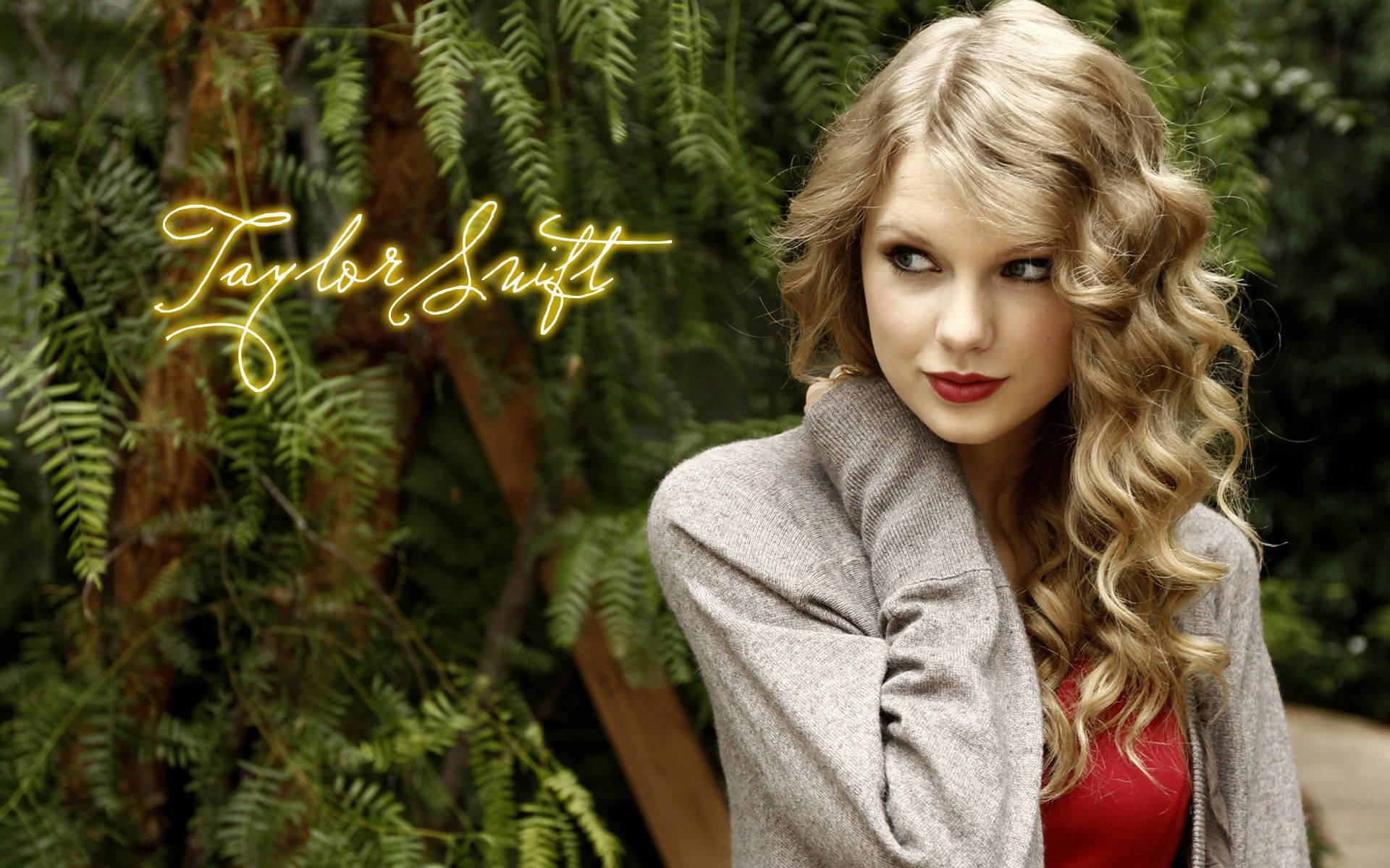 Taylor Swift Live På Scenen Wallpapers