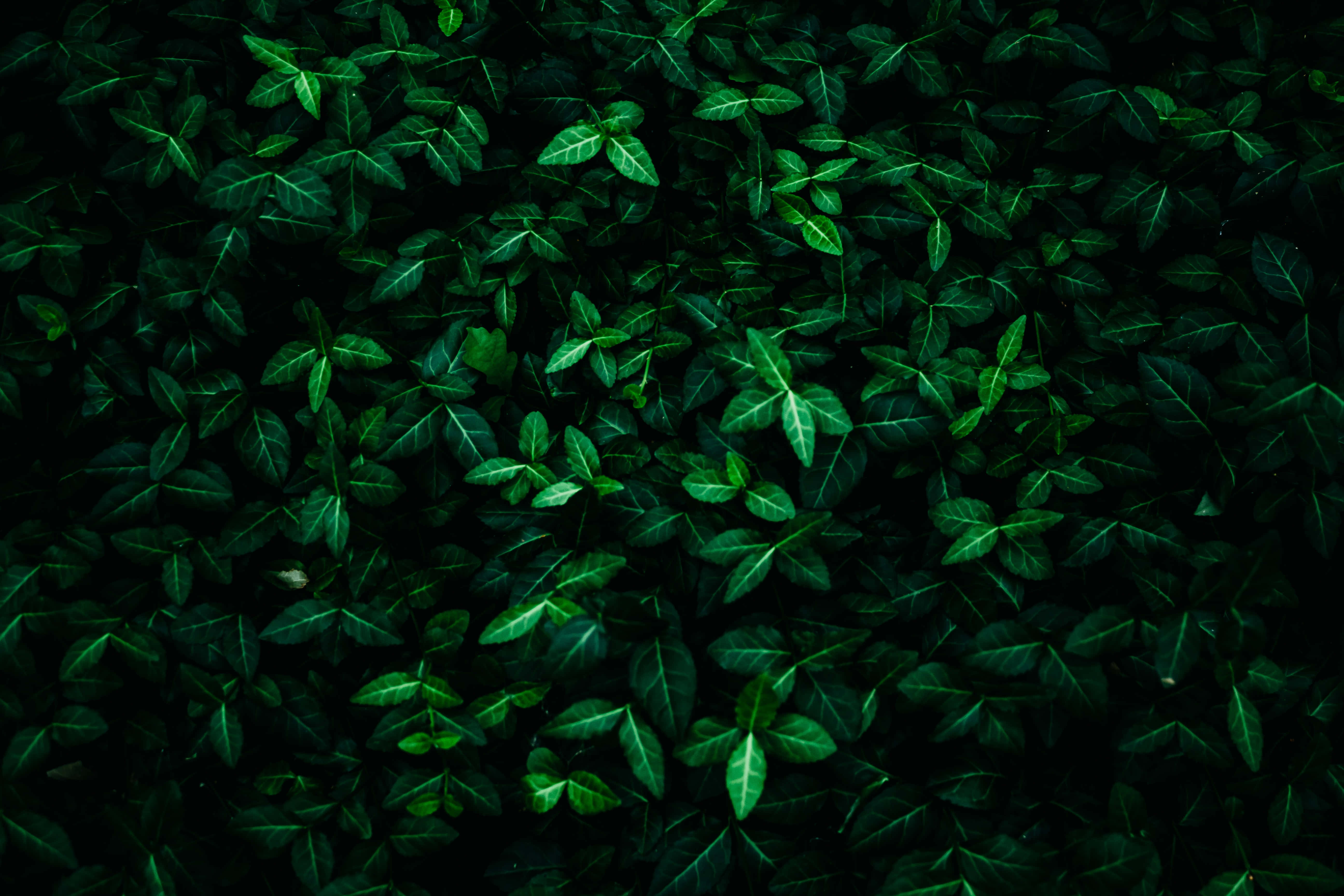 Tegning af moderne sofistikation til nutidens sofistikerede hjem Wallpapers