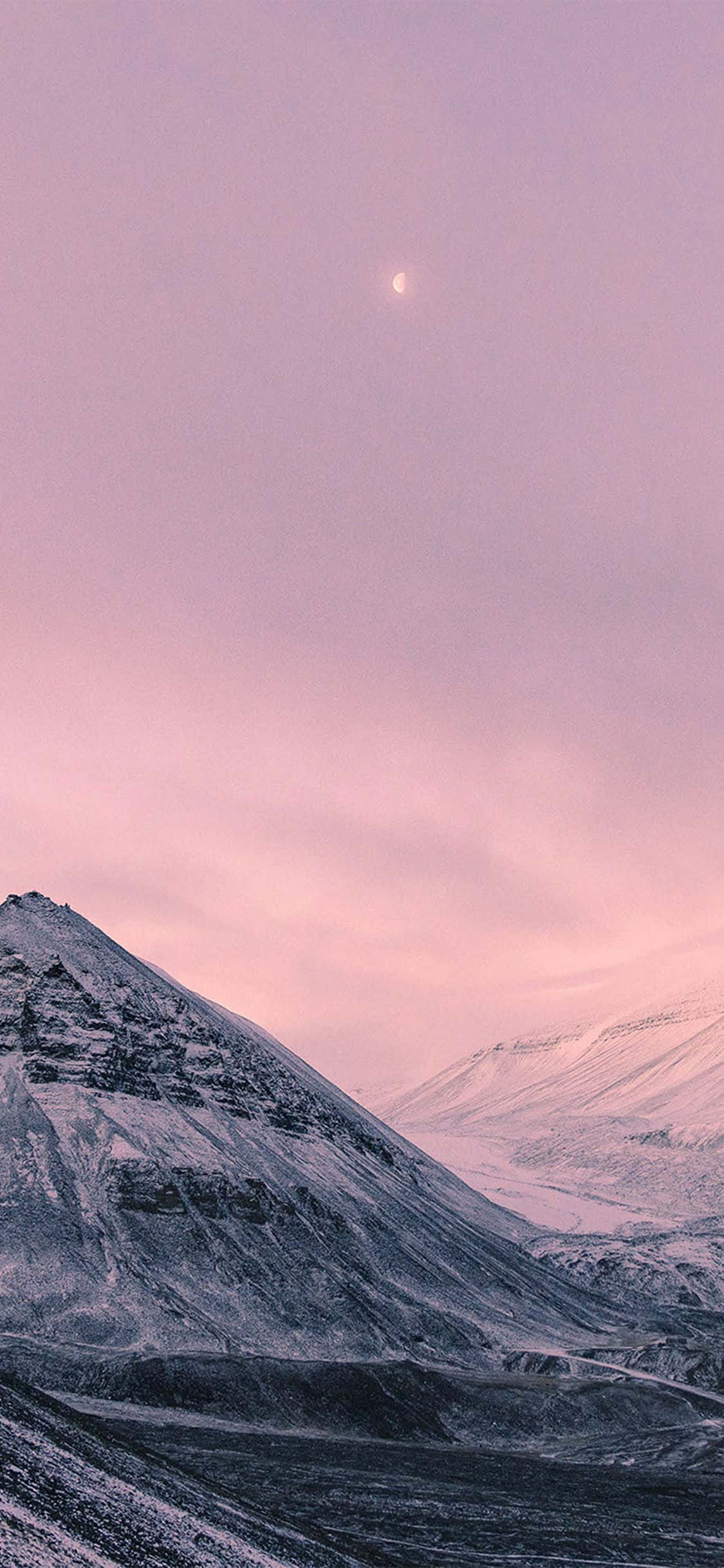 Æterisk skovsceneri på iPhone X Wallpapers