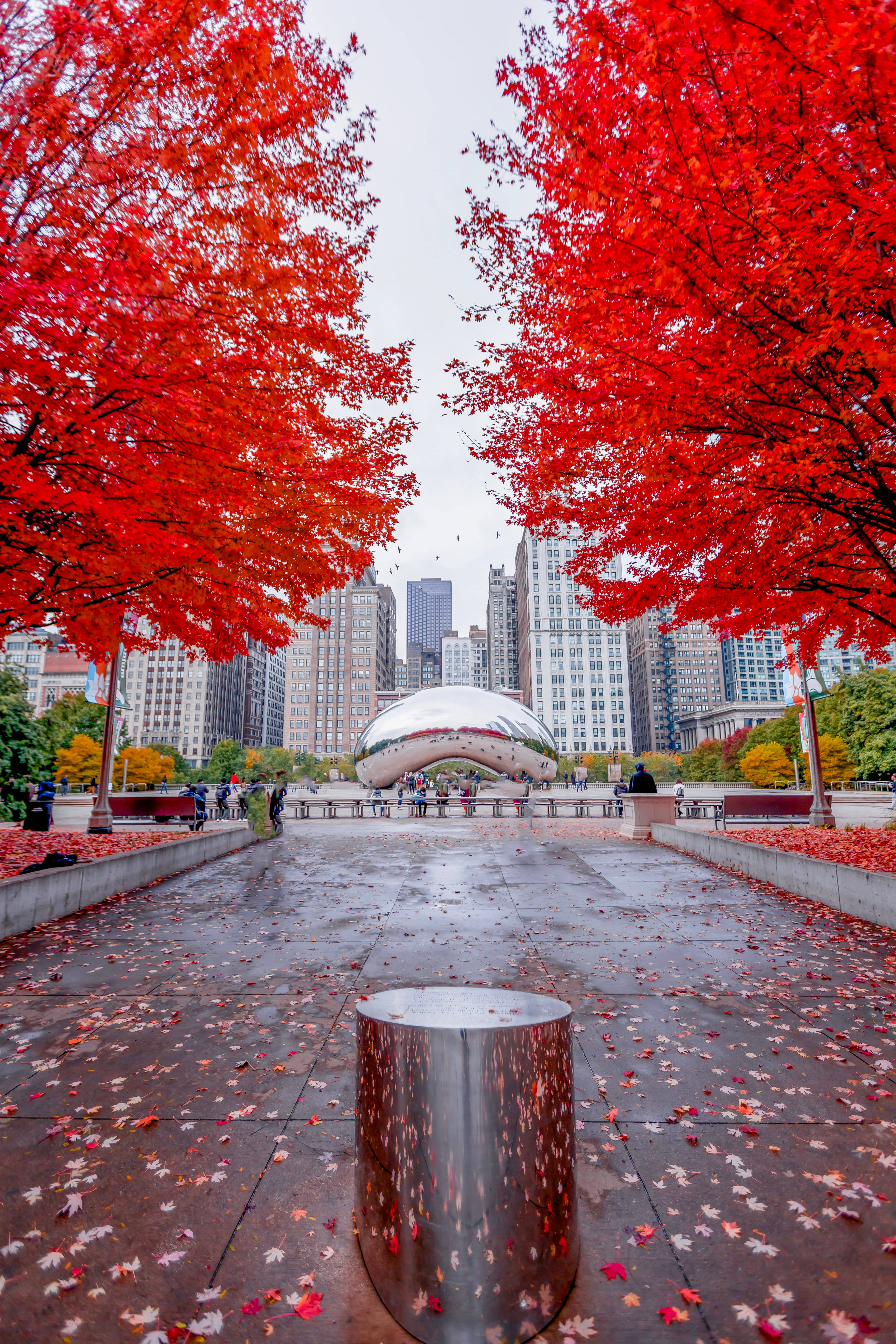 The Bean Chicago Røde Blade Wallpapers