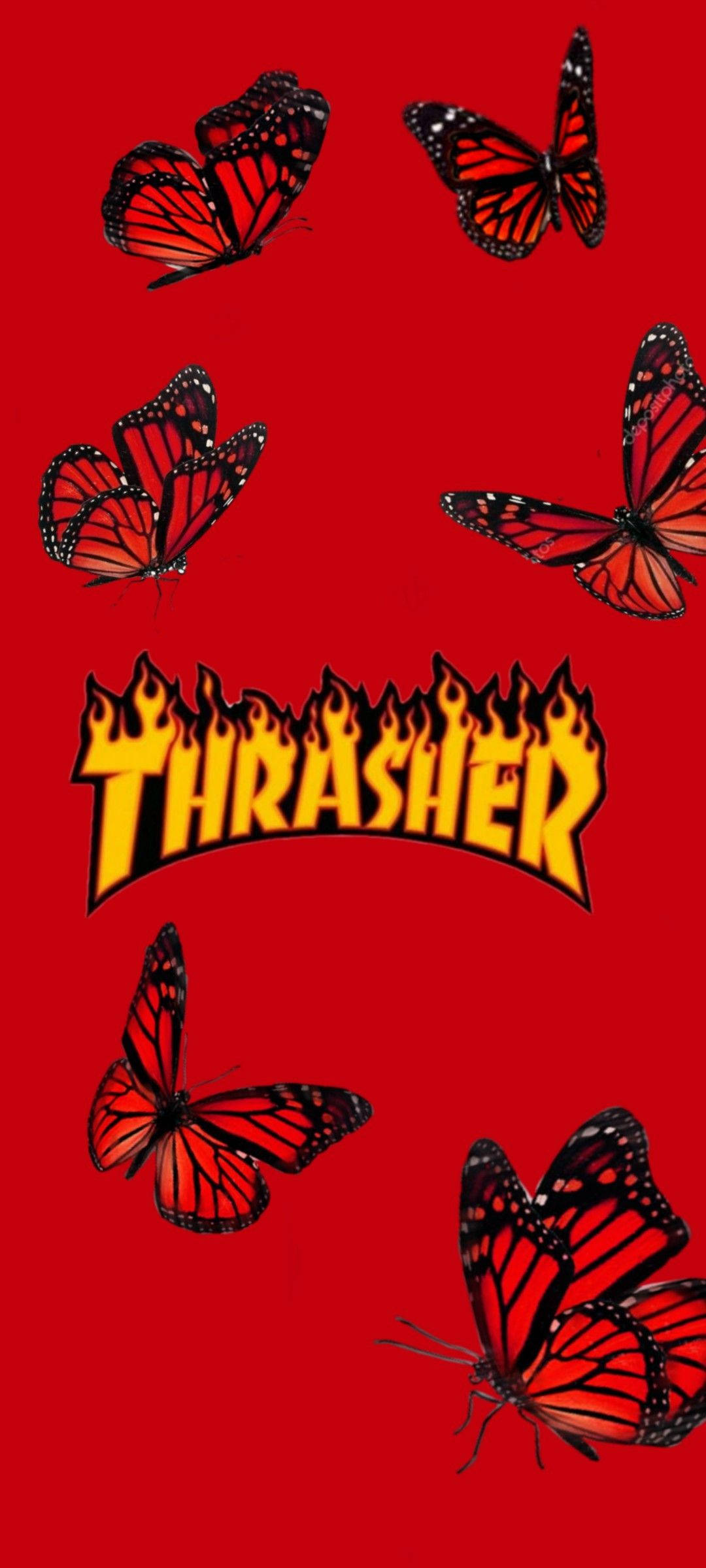 Thrasher Røde Sommerfugle Wallpapers