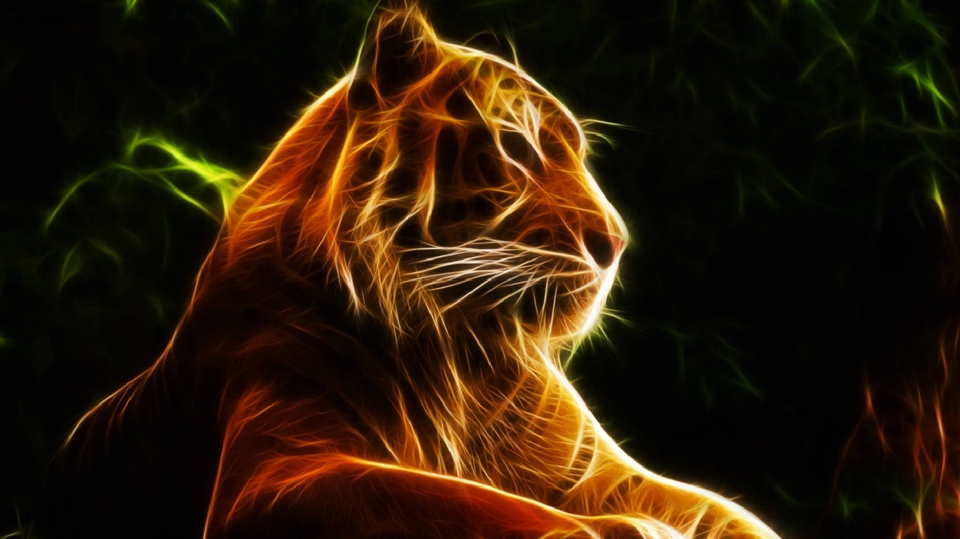 Tiger Chromebook-baggrund Wallpapers