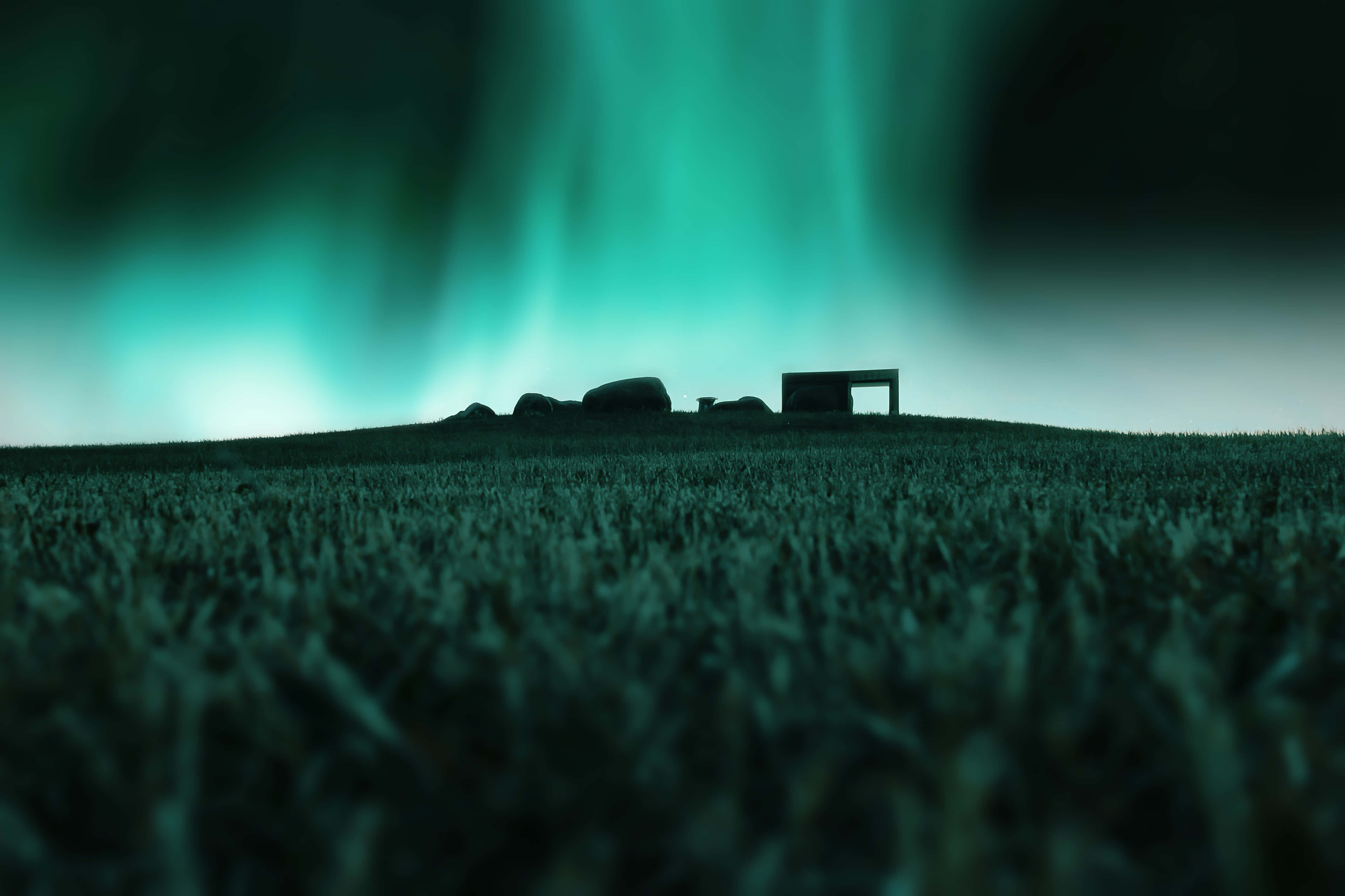 Tilføj et strejf af elegance til dit rum med denne dybe træstruktur og mørkegrønne æstetik. Wallpapers