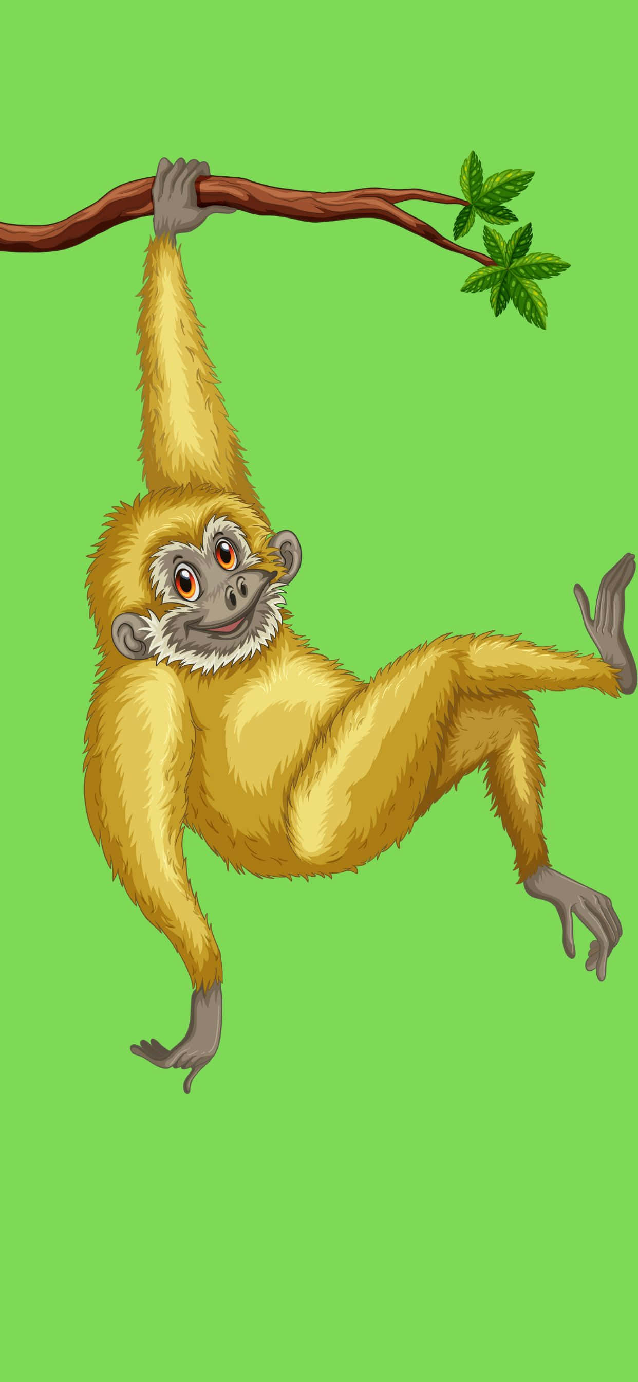 Tjek iPhone Xs Max Gibbon med dens levende farver og perfekte design! Wallpapers